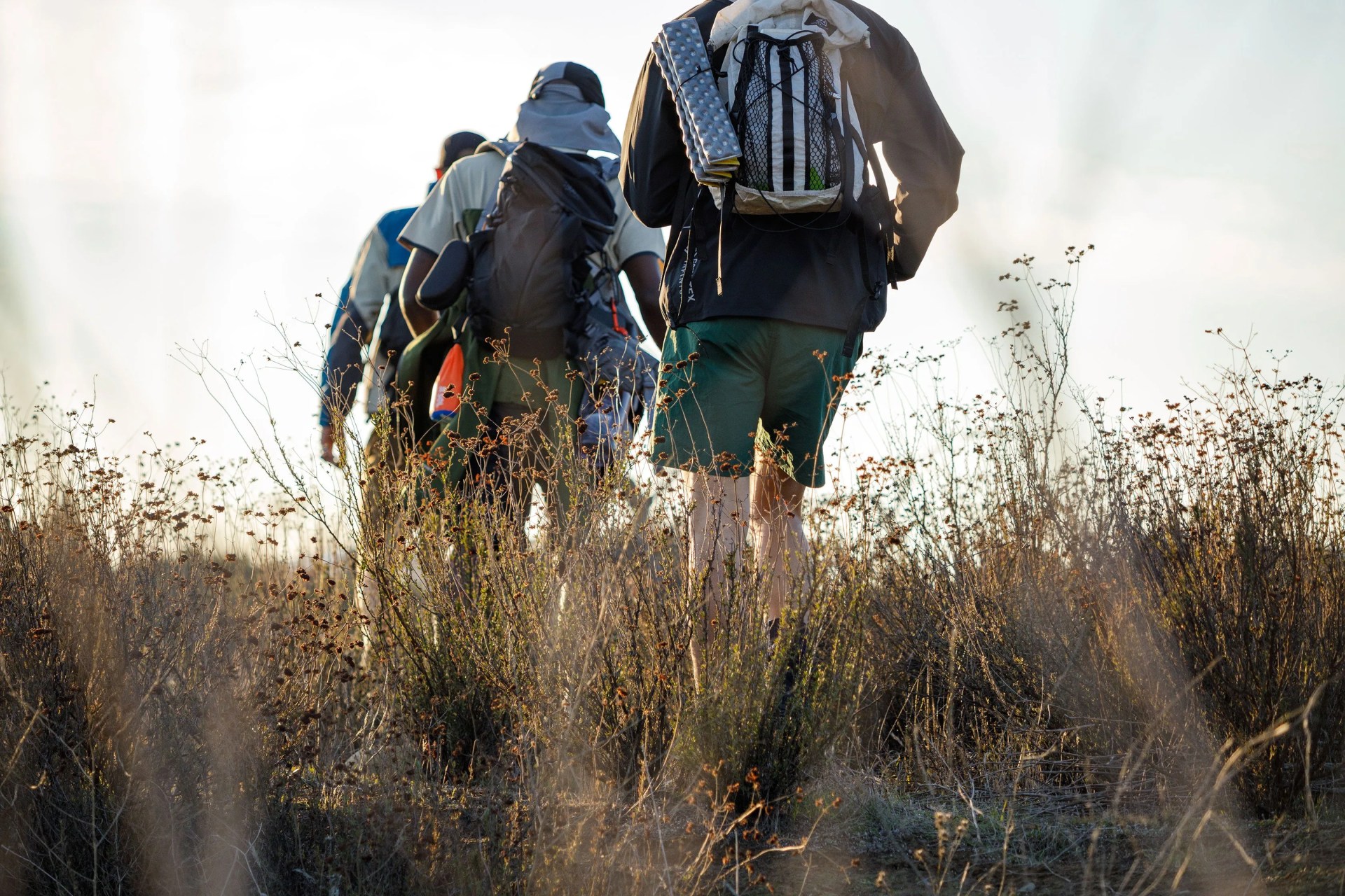 a group of hikers walking through field