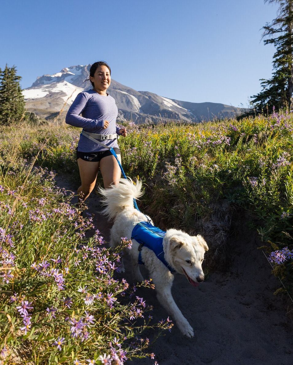 ruffwear trail runner dog running vest