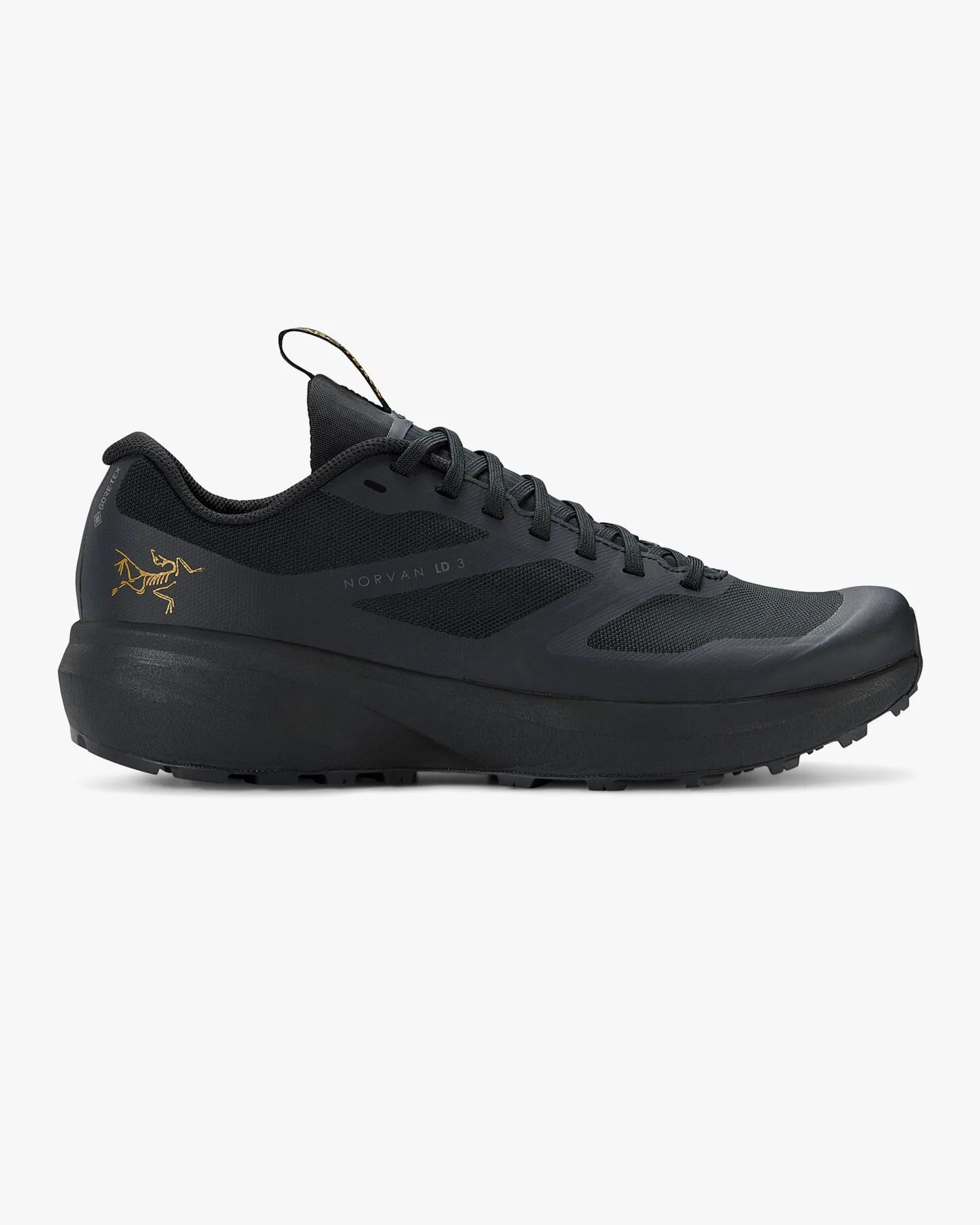norvan ld 3 gtx shoe men's