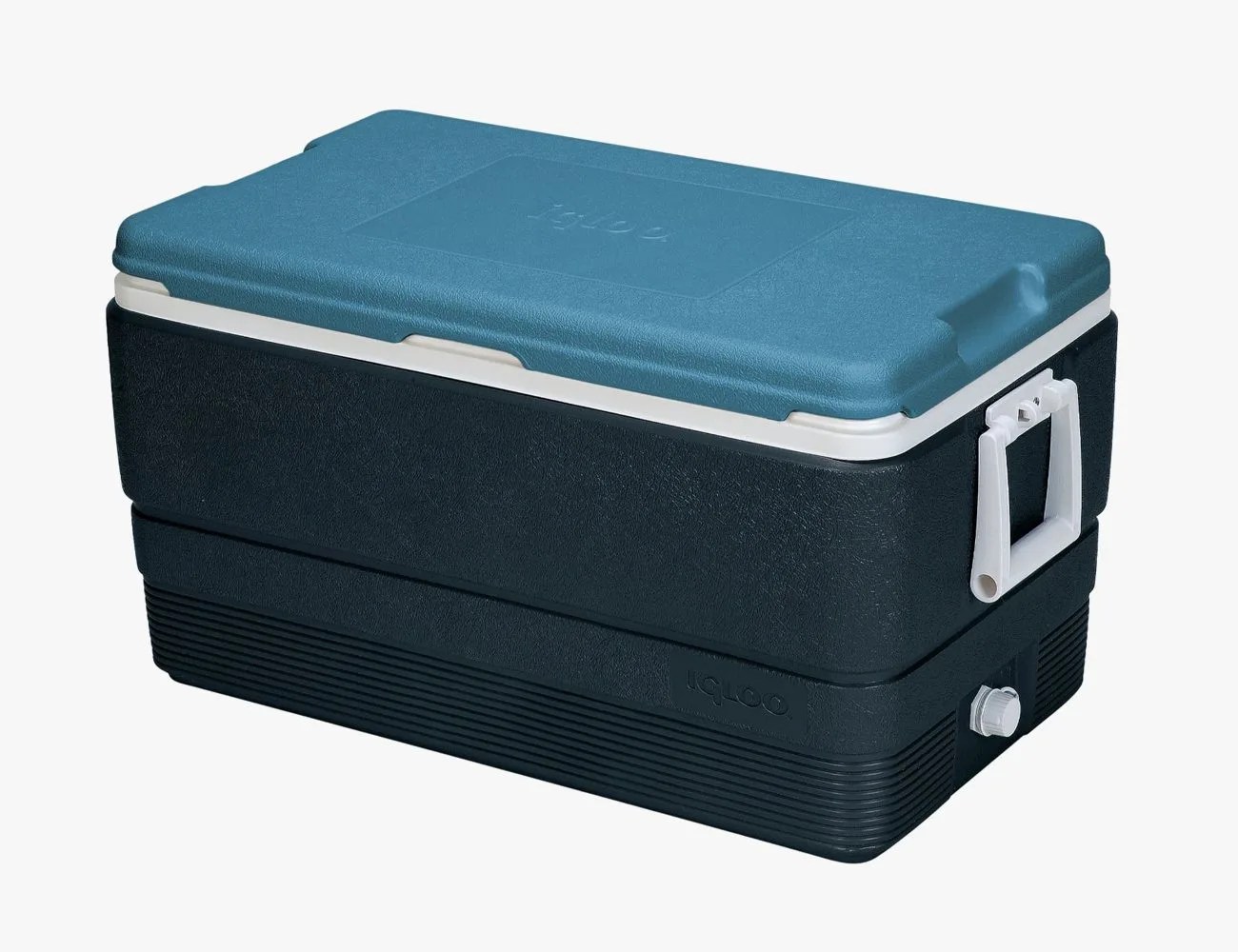 The 13 Best Coolers on the Market for Keeping Food and Drinks Cold