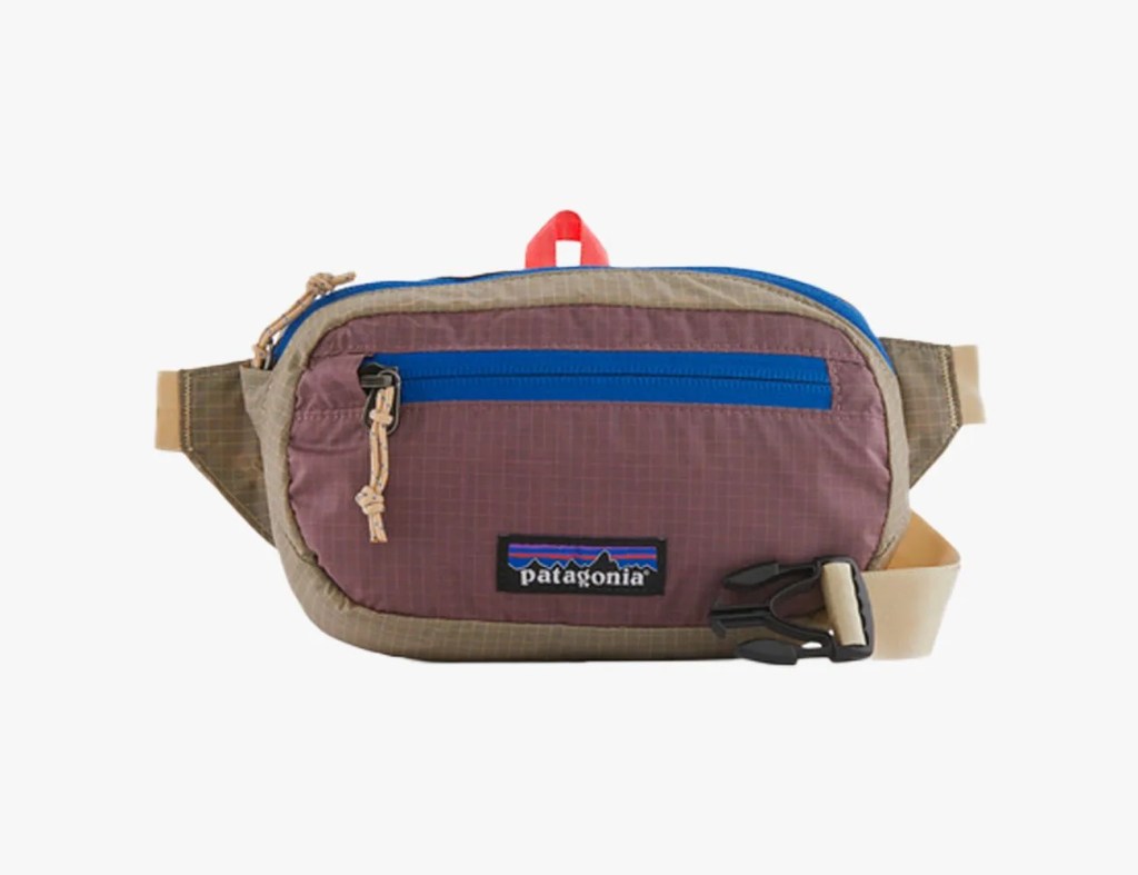 The 11 Best Hip Packs You (Yes, Even You) Should Actually Buy Gear Patrol