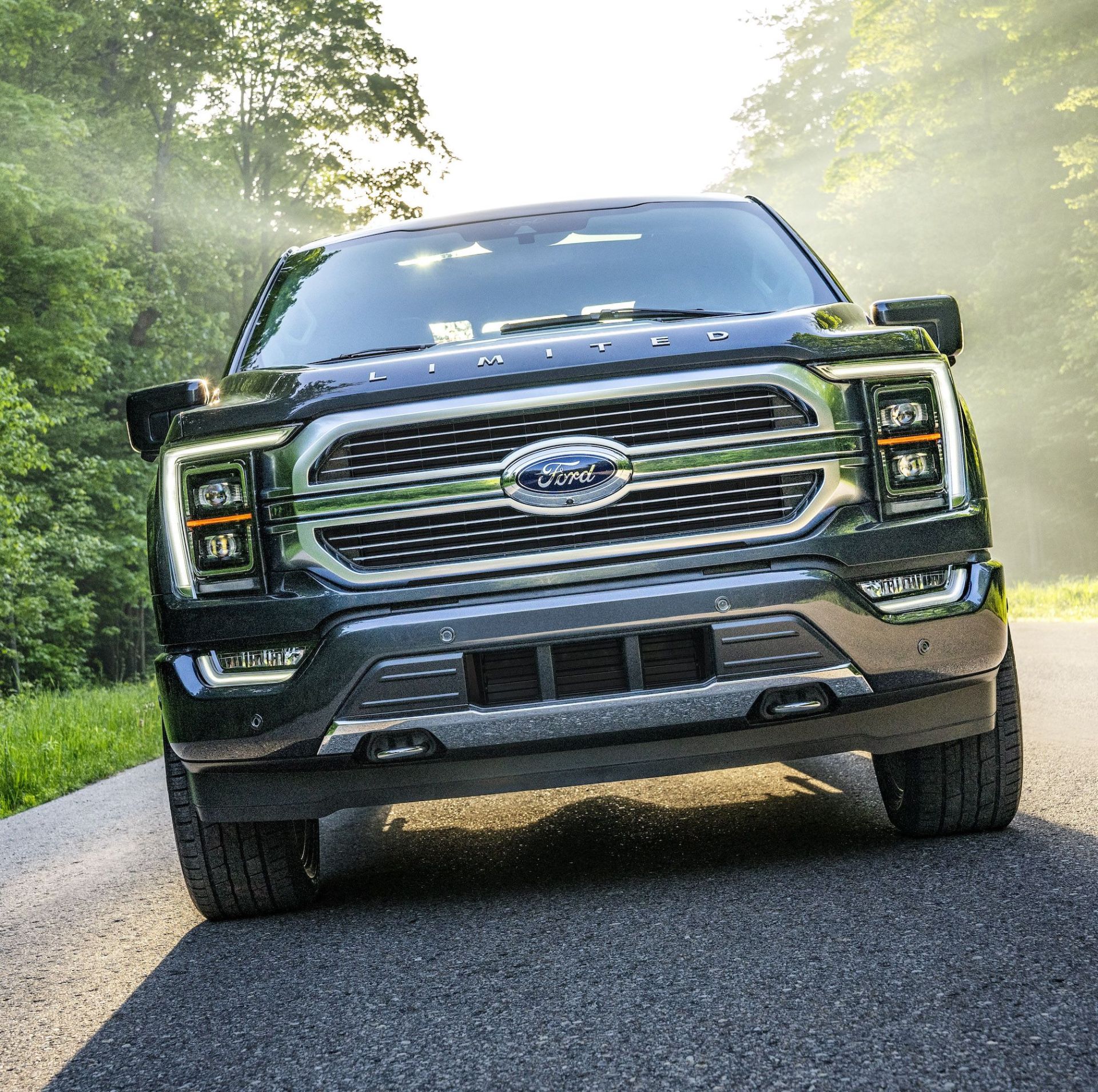 all new f 150 limited in smoked quartz tinted clearcoat