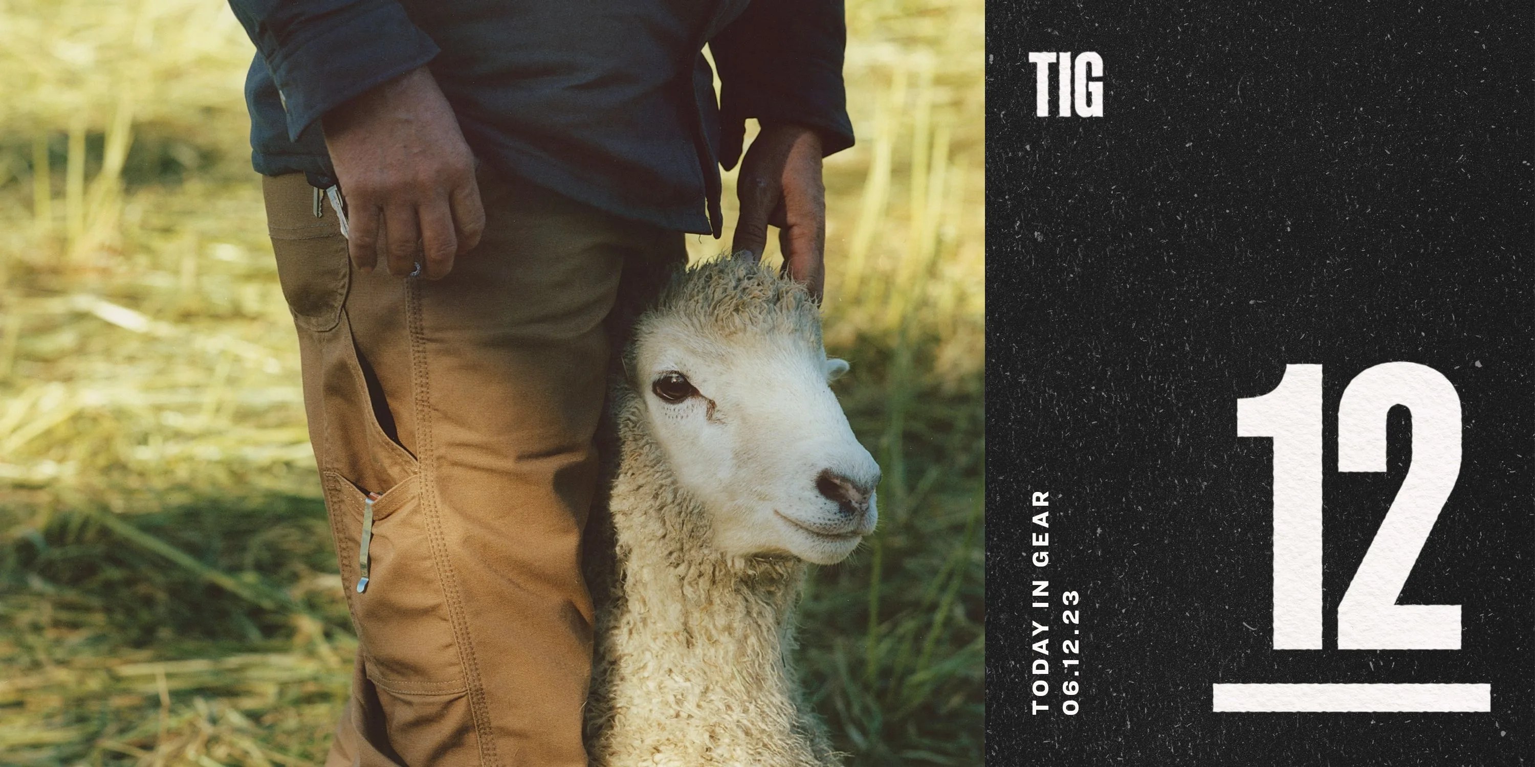 today in gear june 12 2023 dickies man wearing regular fit duck carpenter pants standing next to sheep