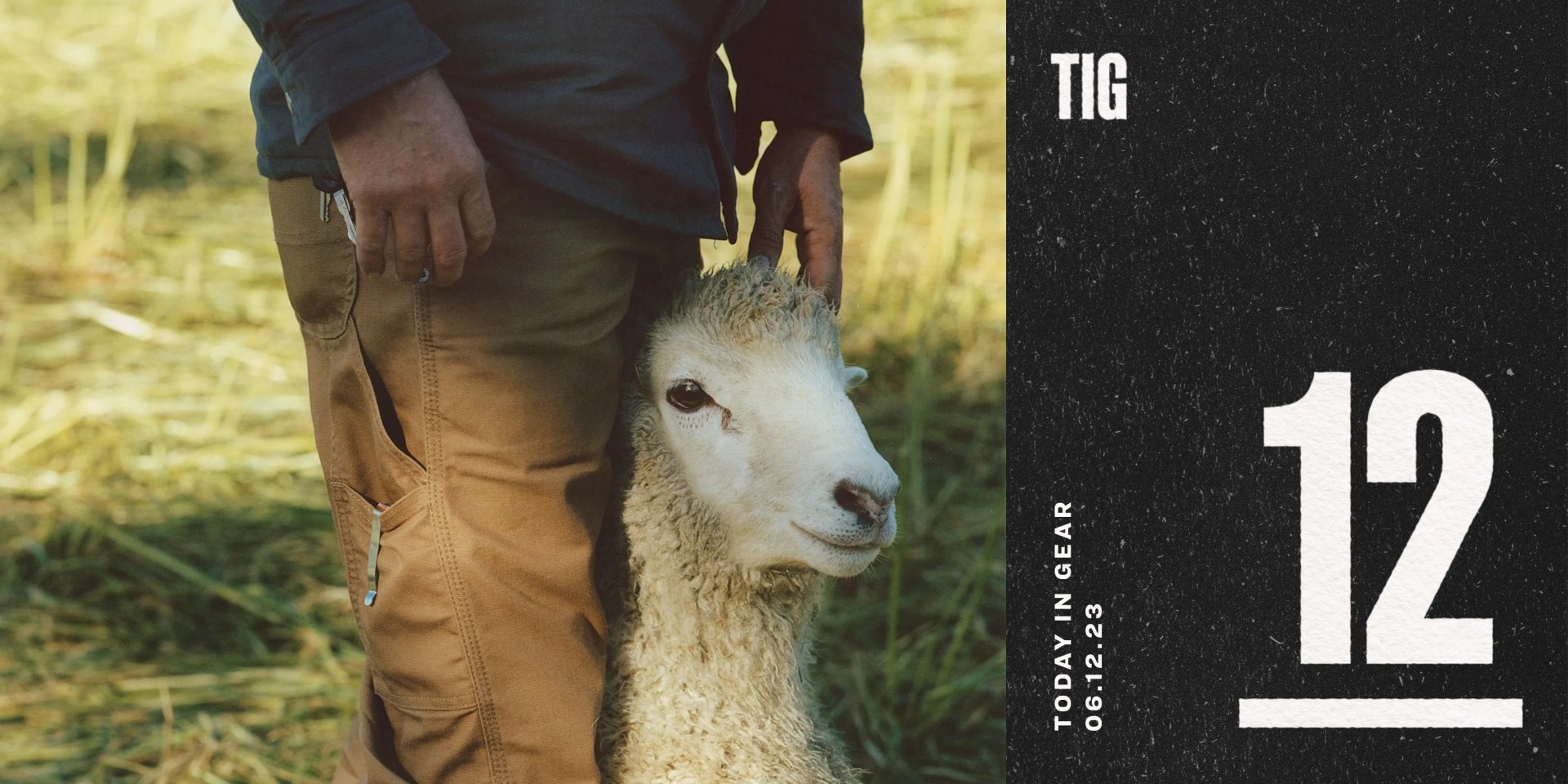 today in gear june 12 2023 dickies man wearing regular fit duck carpenter pants standing next to sheep