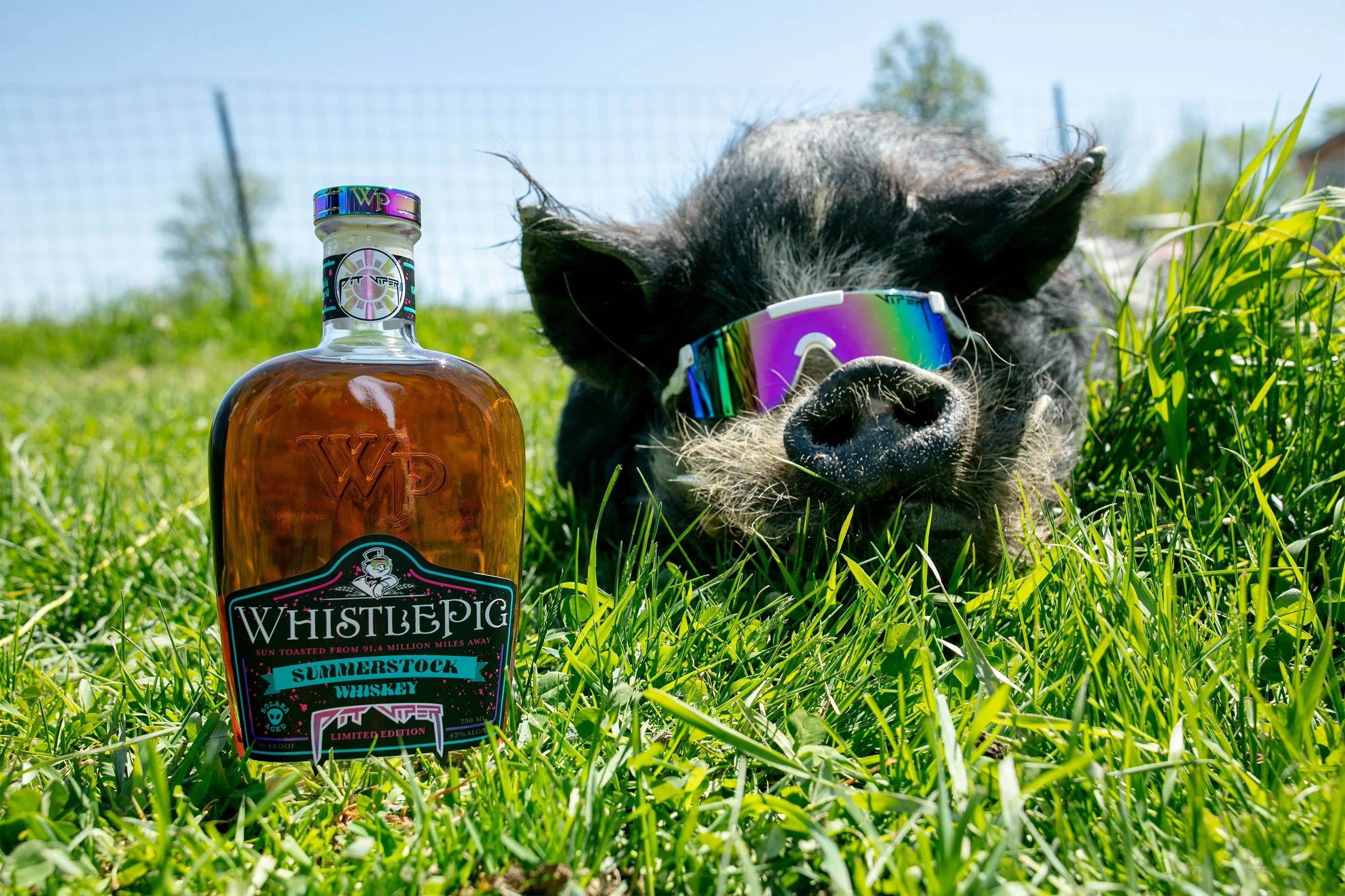 whistlepig whiskey pitviper glasses