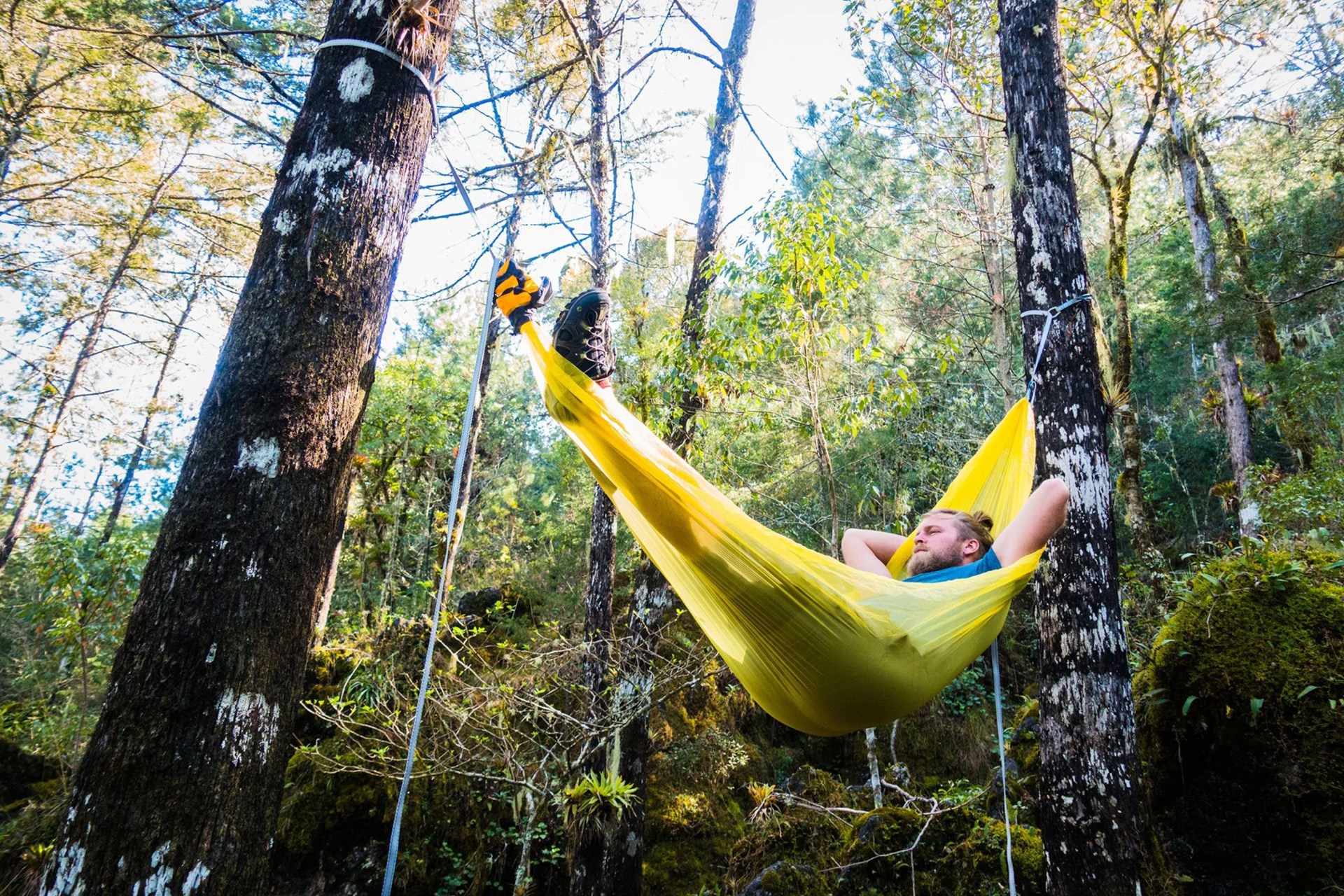 sea to summit pro hammock