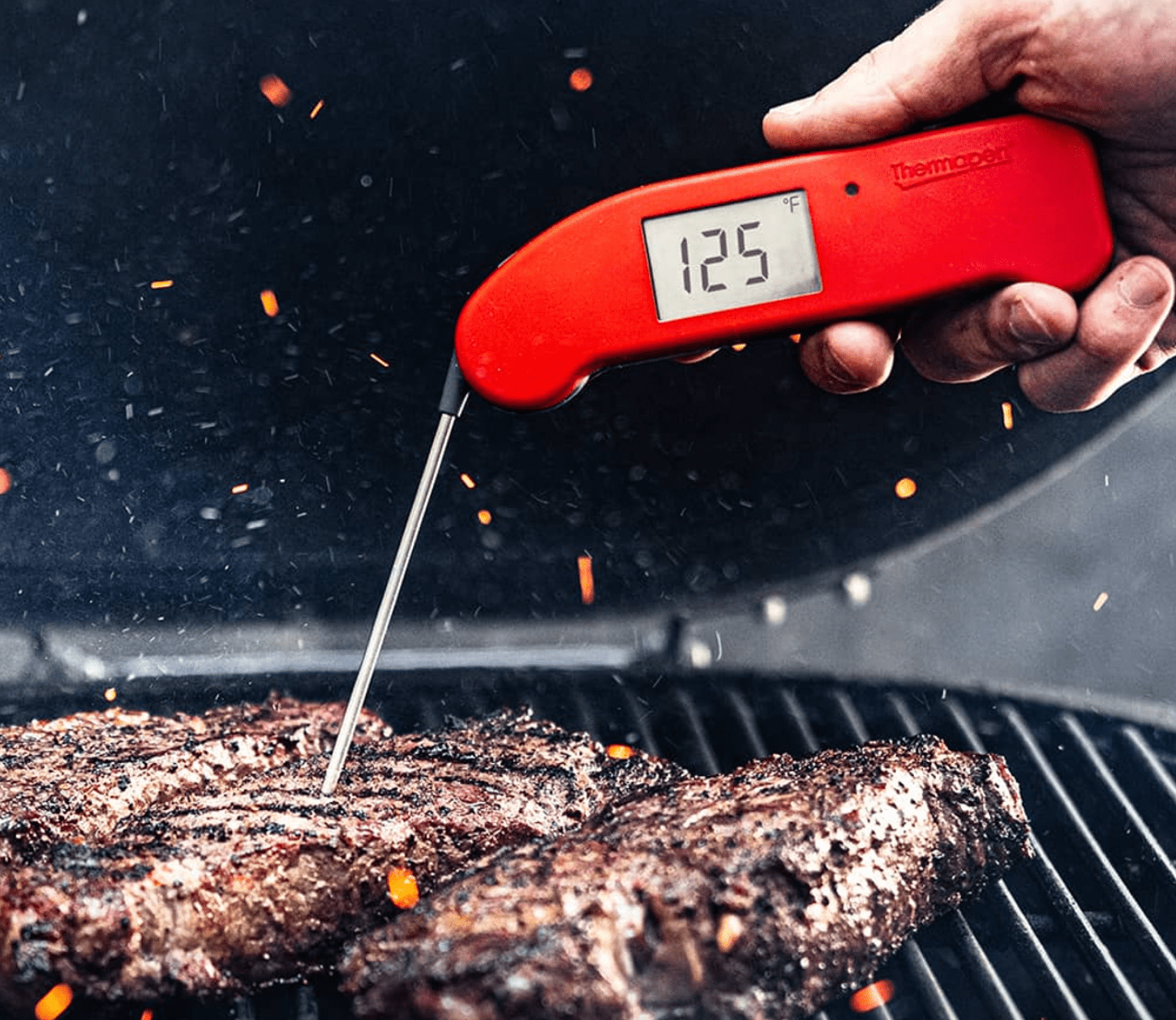 thermapen one