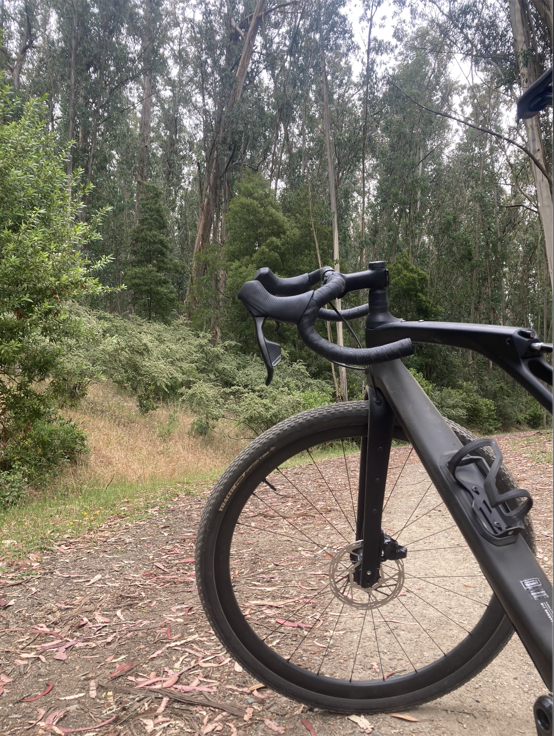diverge str expert handlebars in tree grove