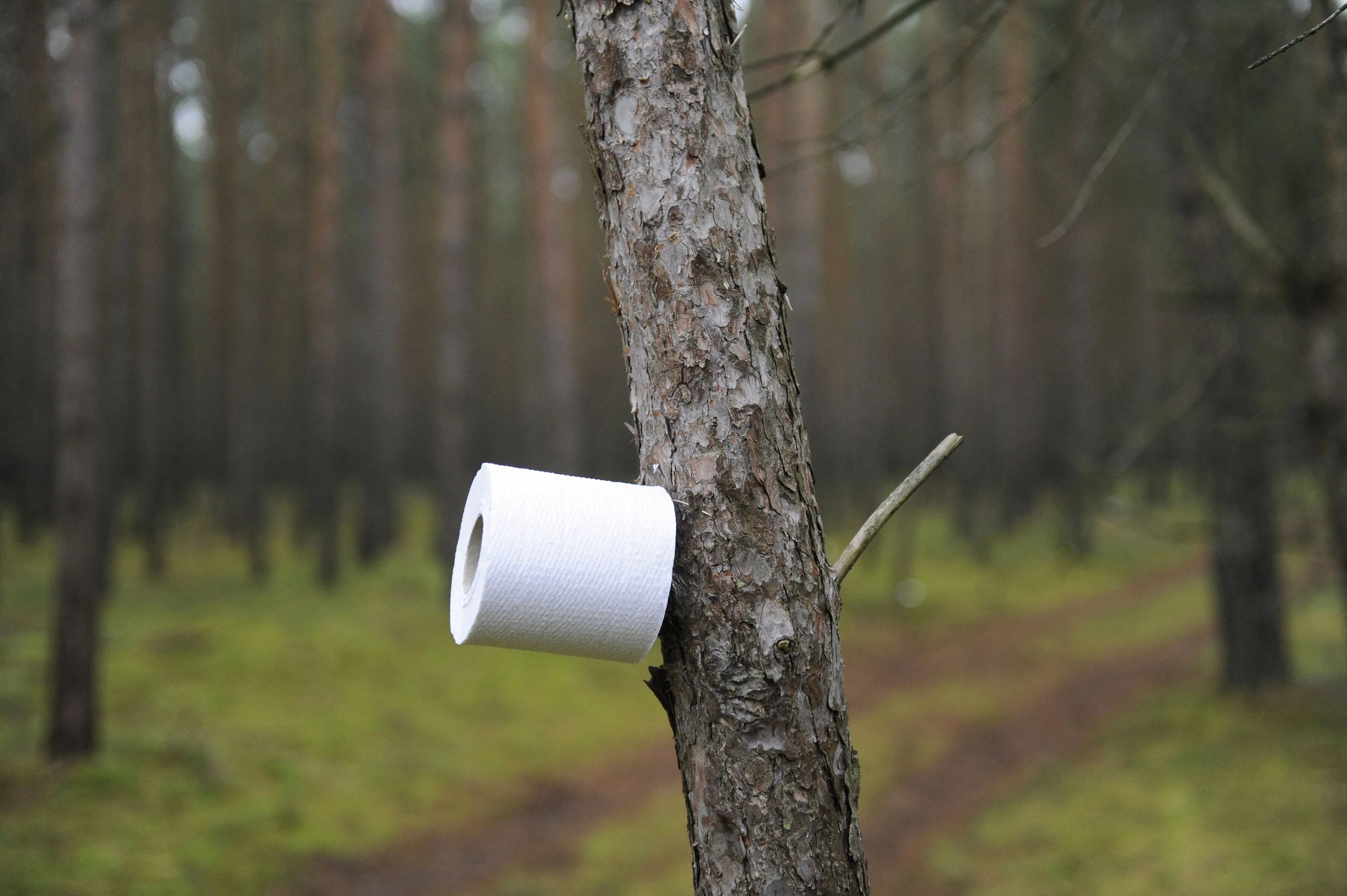 germany environment politics nuclear castor protest
