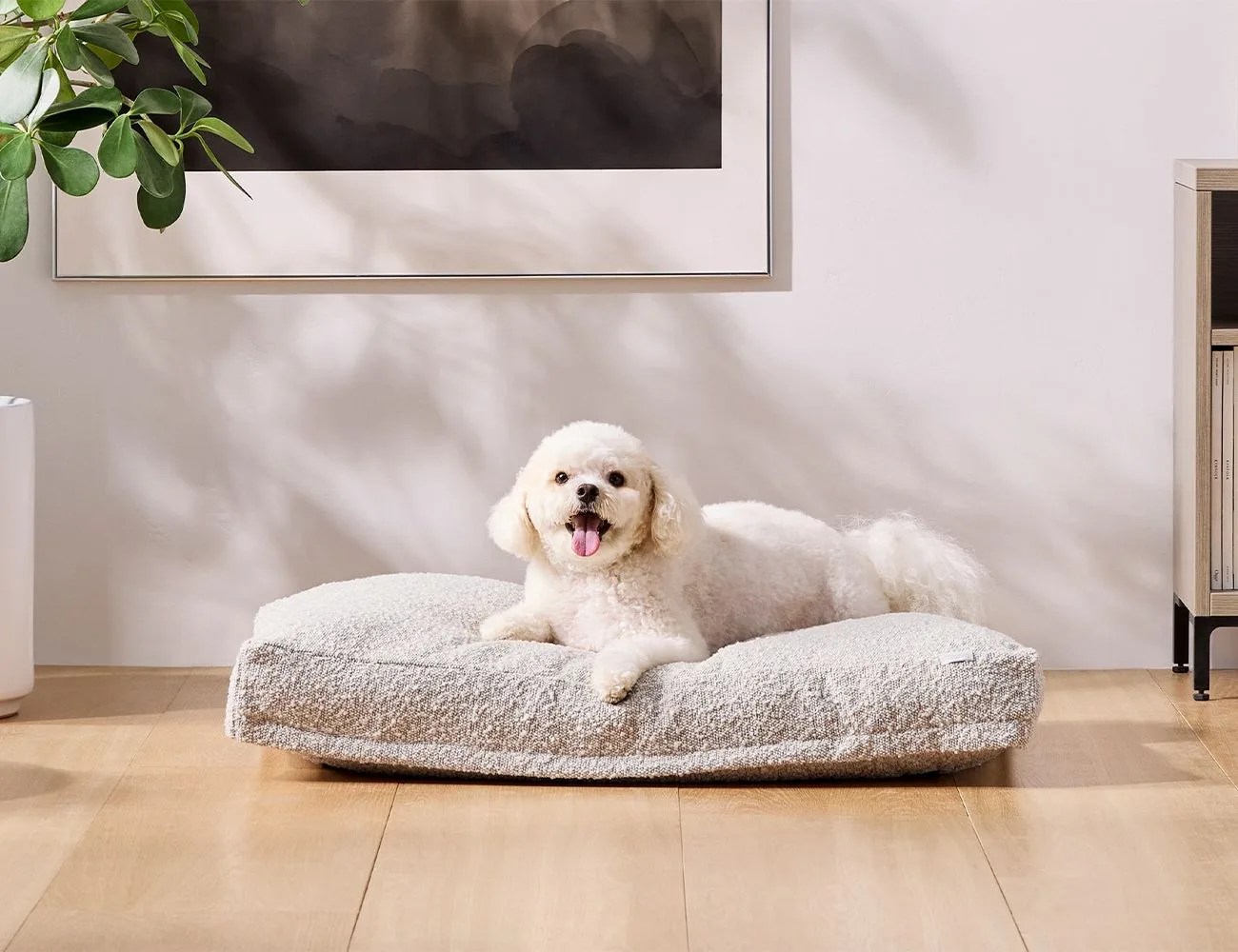 Saatva Dog Bed