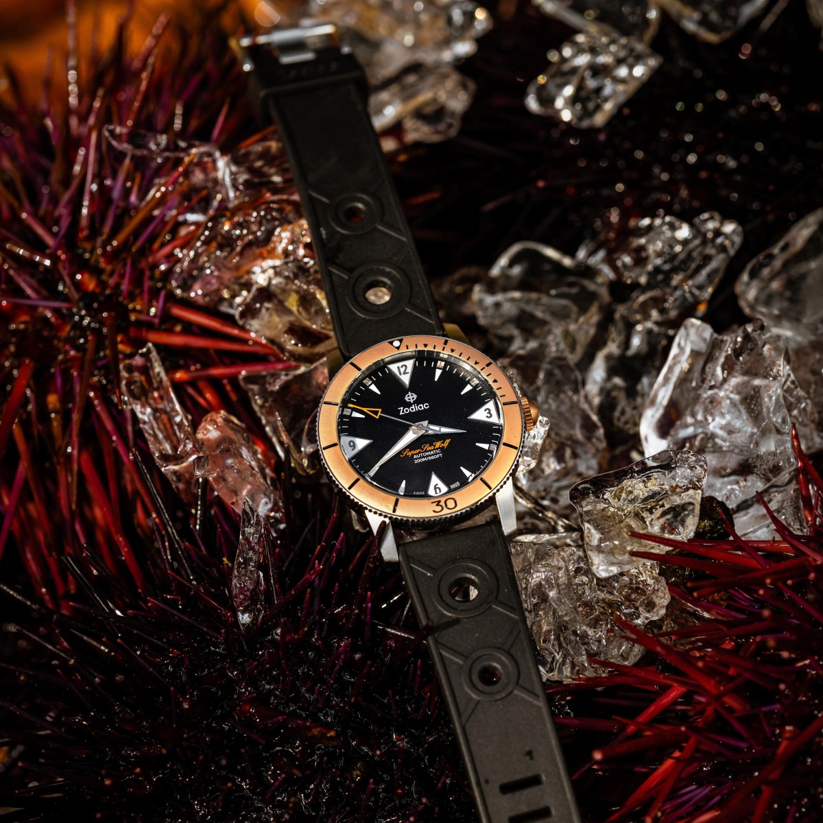 82597-zodiac-huckberry-x-