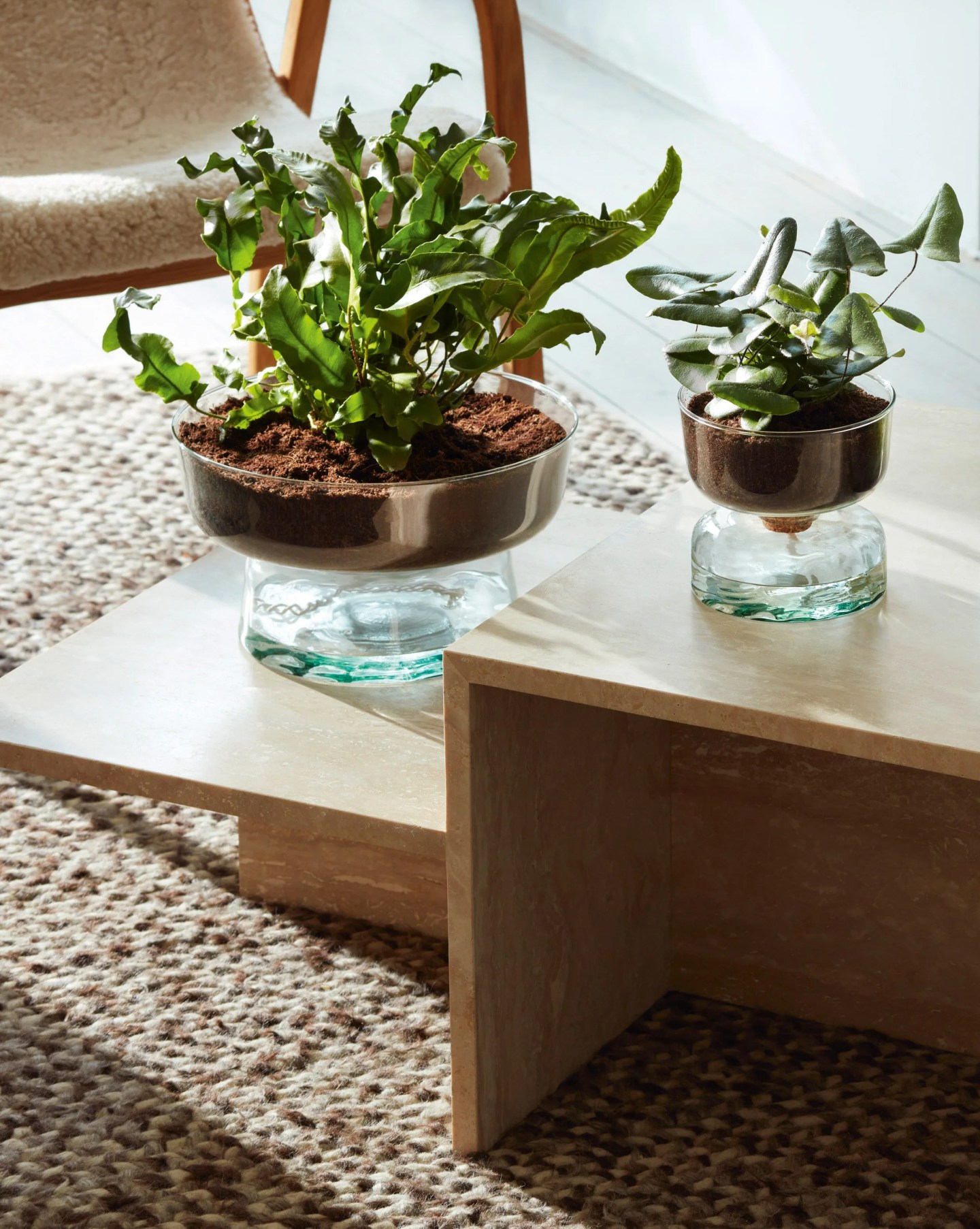 canopy self watering planter