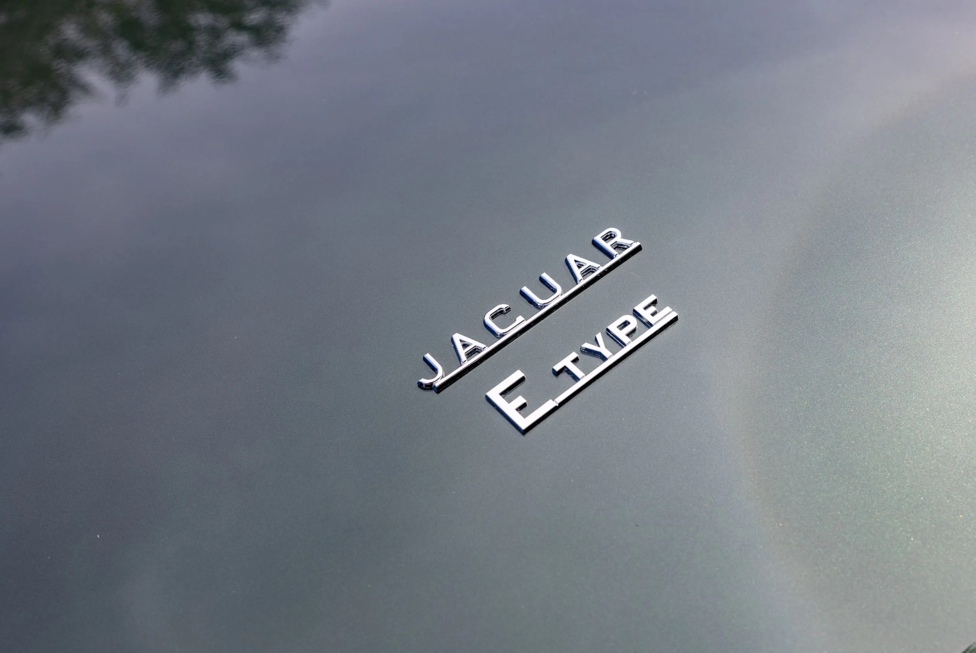 ecd auto design jaguar e type badge