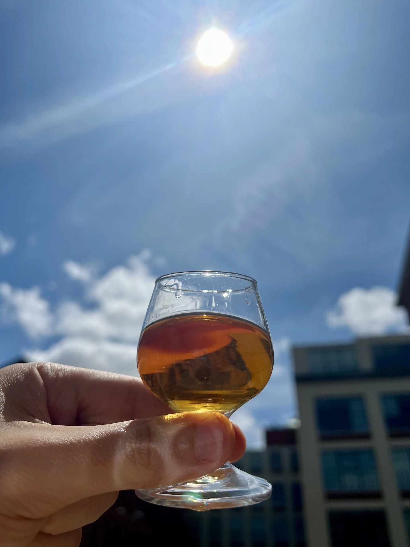 whiskey glass held in the sun