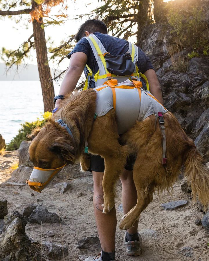 man carrying dog using ruffwear backtrak dog evacuation kit