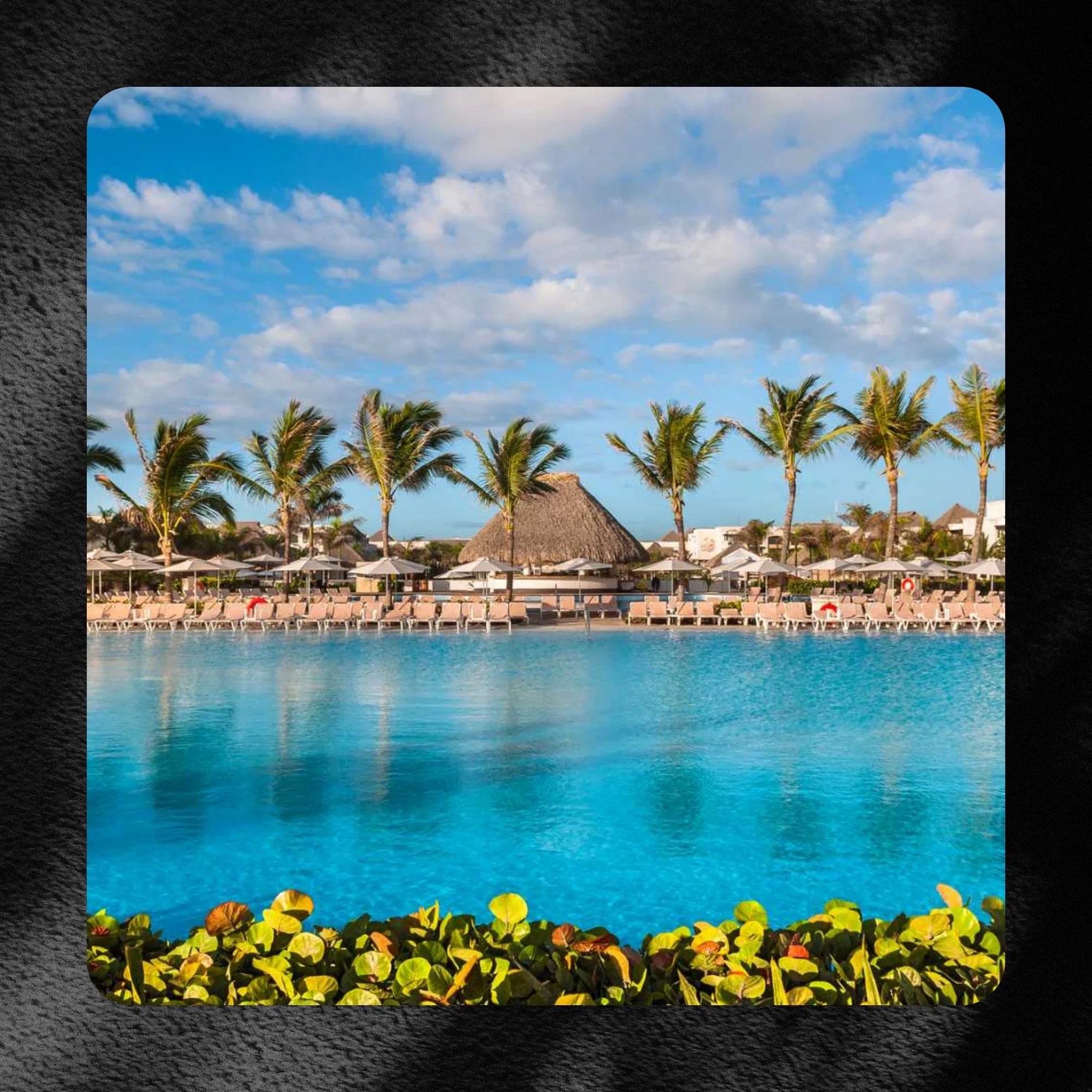 hard rock hotel and casino punta cana with palm trees and water