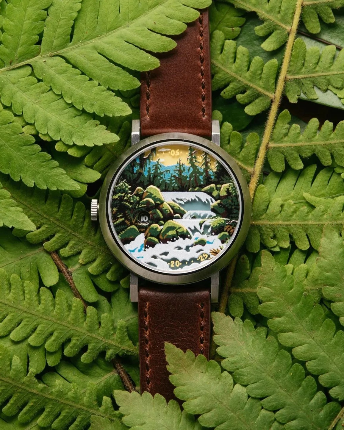 asterisk olympic jump hour automatic watch laying on top of leaves