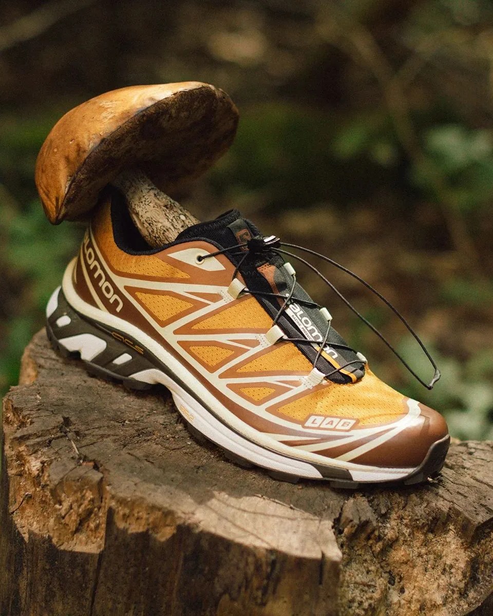 a pair of end x salomon xt 6 porcini shoes on a log