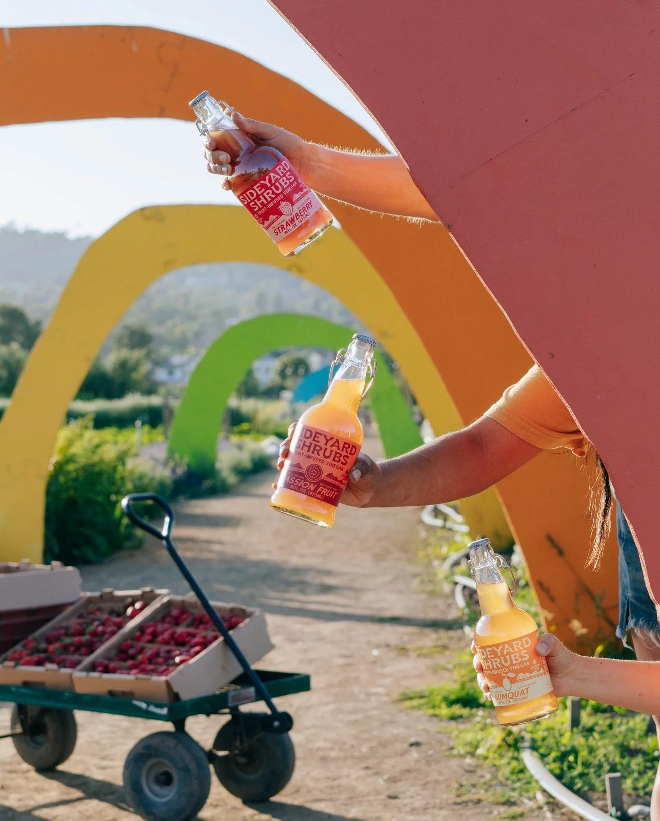 hands holding sideyard beverage at a farm