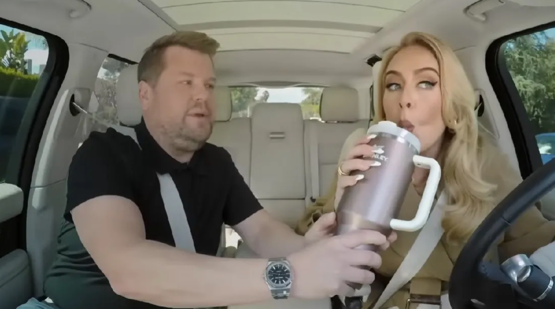 adele stanley quencher