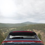 a car parked in front of a forest
