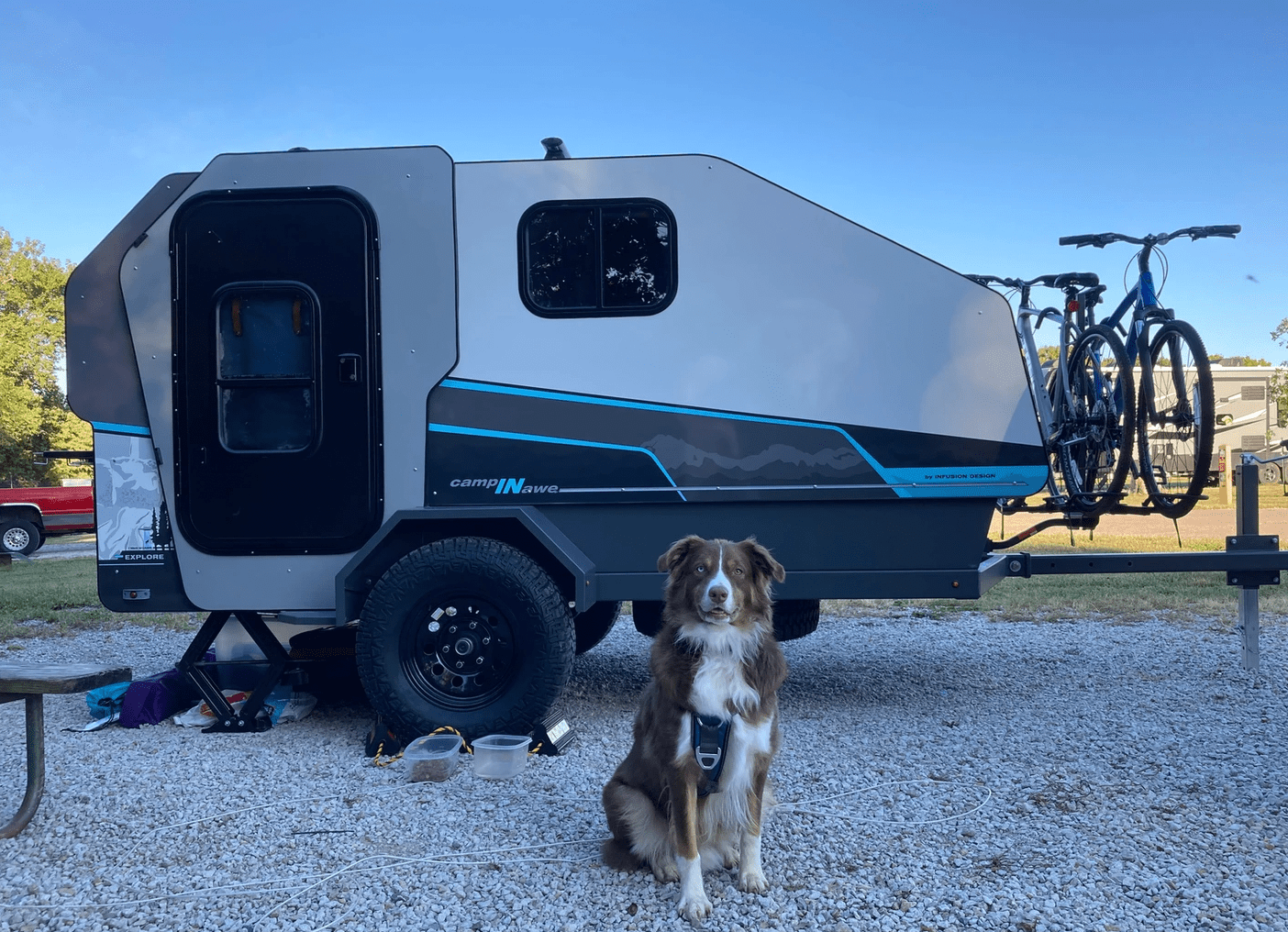 a dog sitting in front of a truck