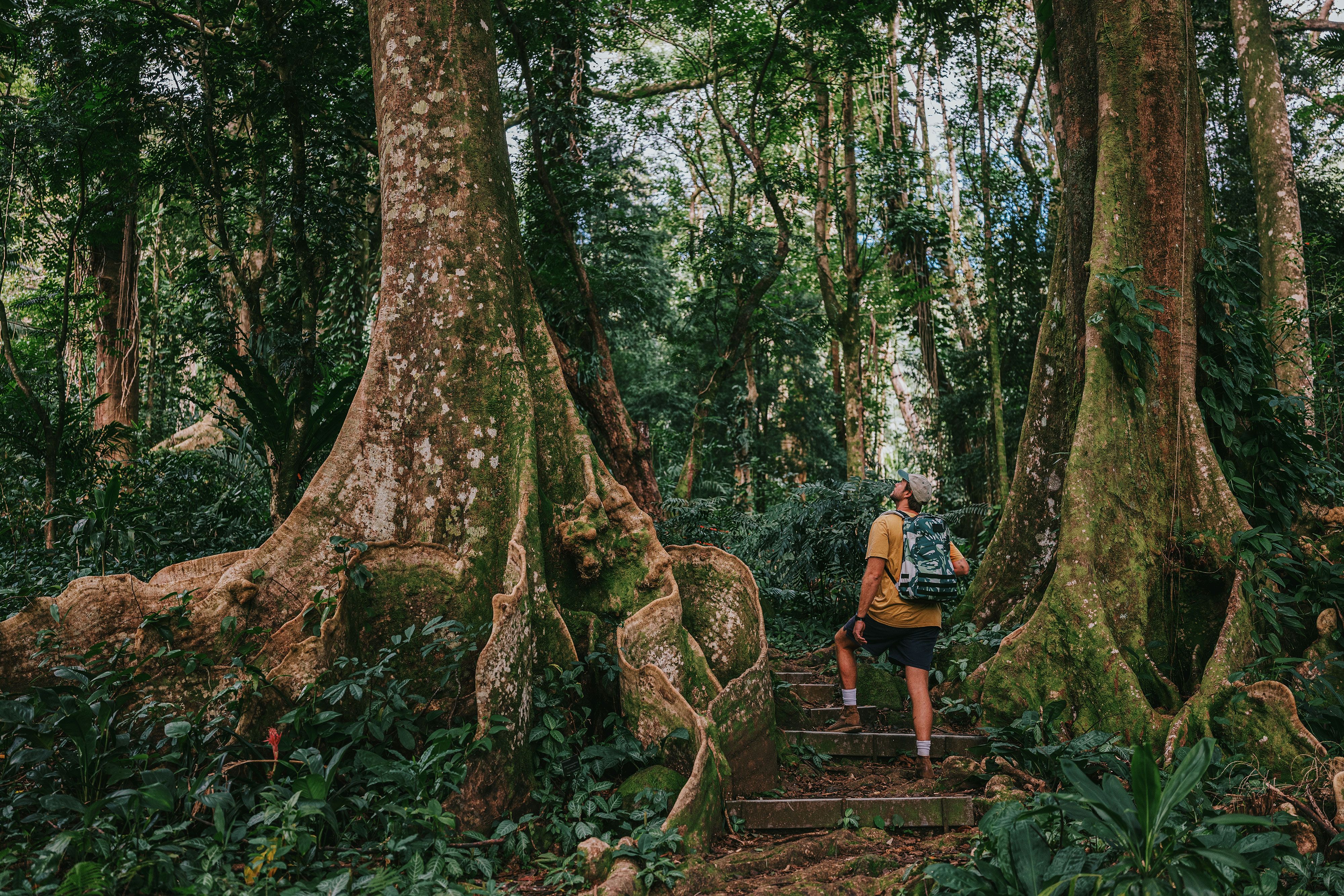 man walking through forest wearing goruck bag