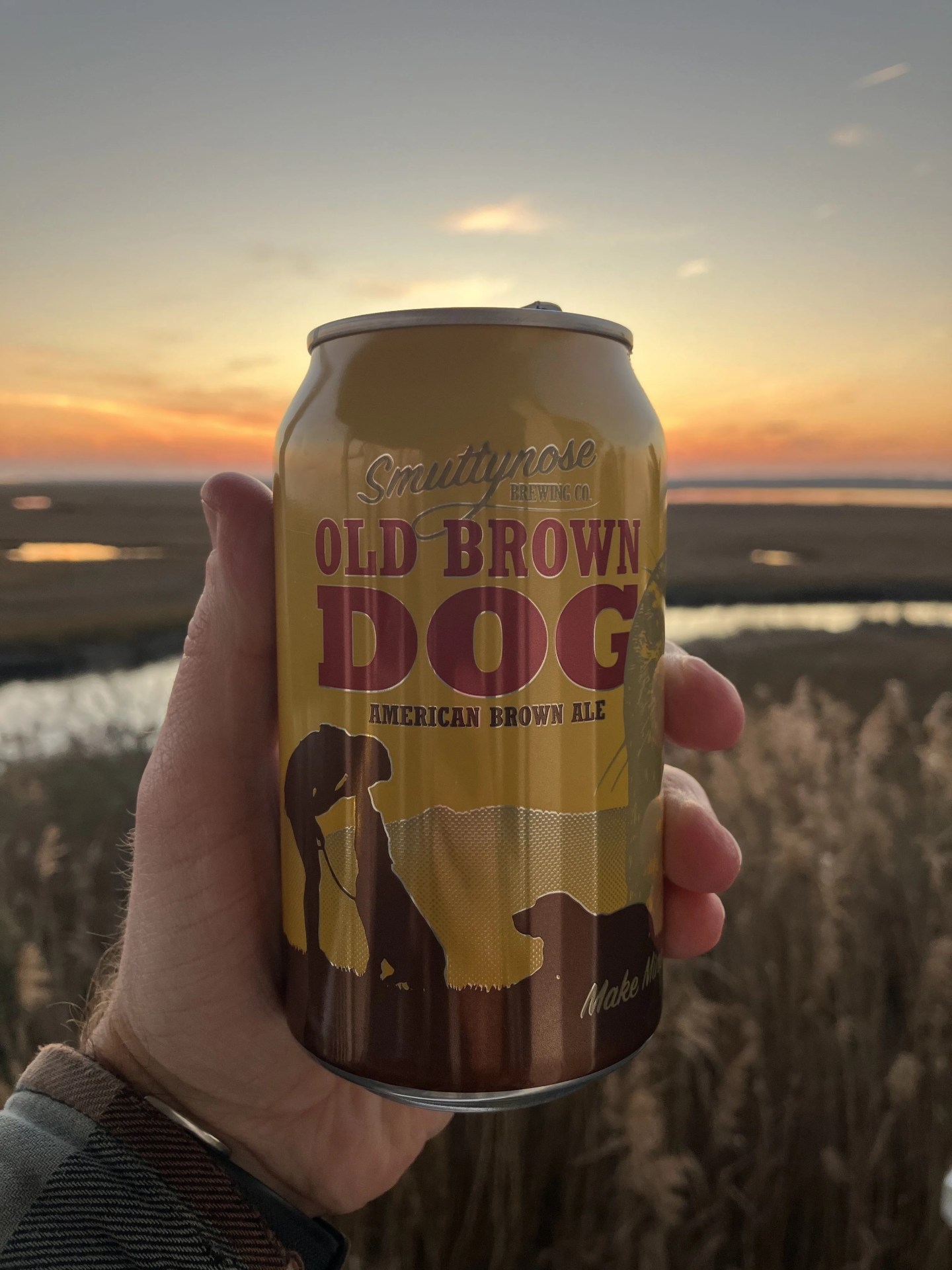 a hand holding a can of beer