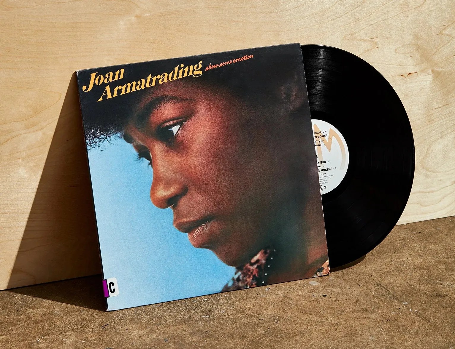 Joan Armatrading Vinyl Record Leaning on Plywood Wall