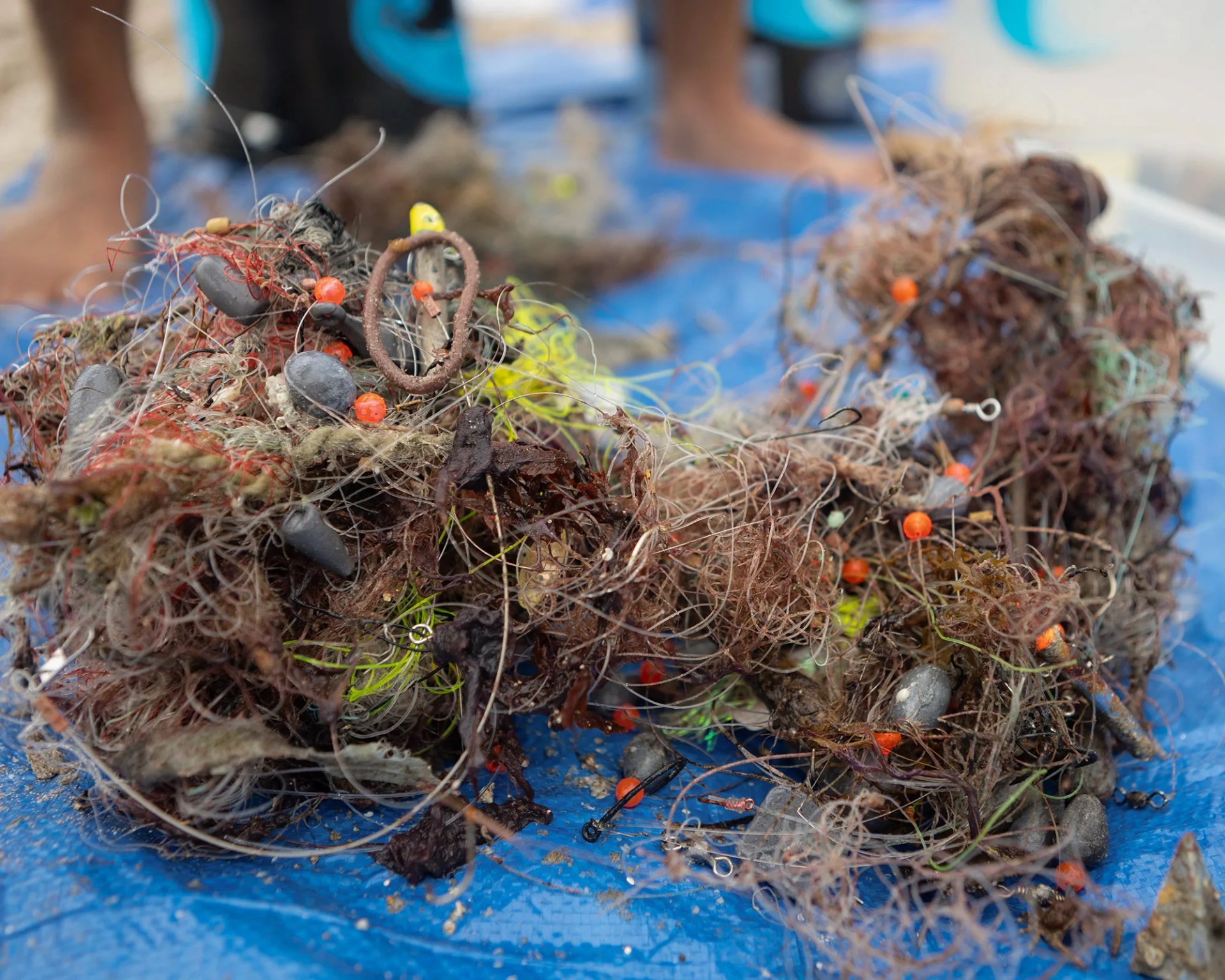ocean trash, fishing line tangled