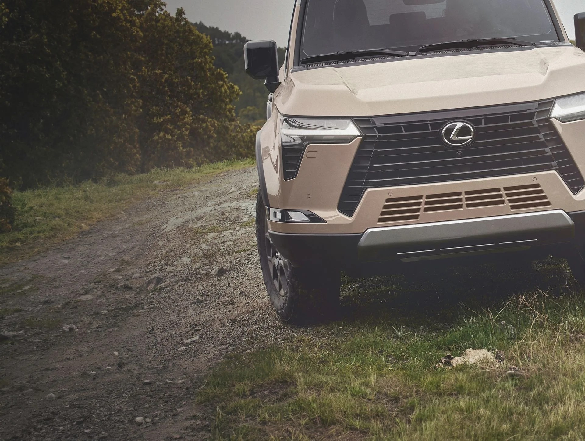lexus suv seen from the front