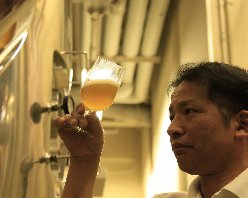 person looking a beer glass filled with beer