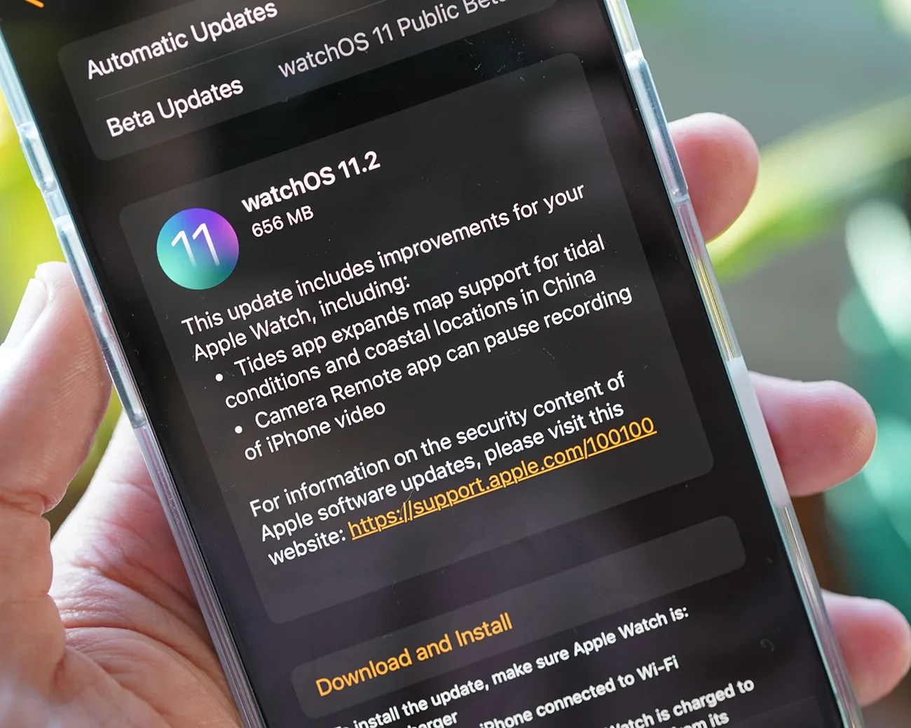 Apple Watch watchOS 11.2 upgrade
