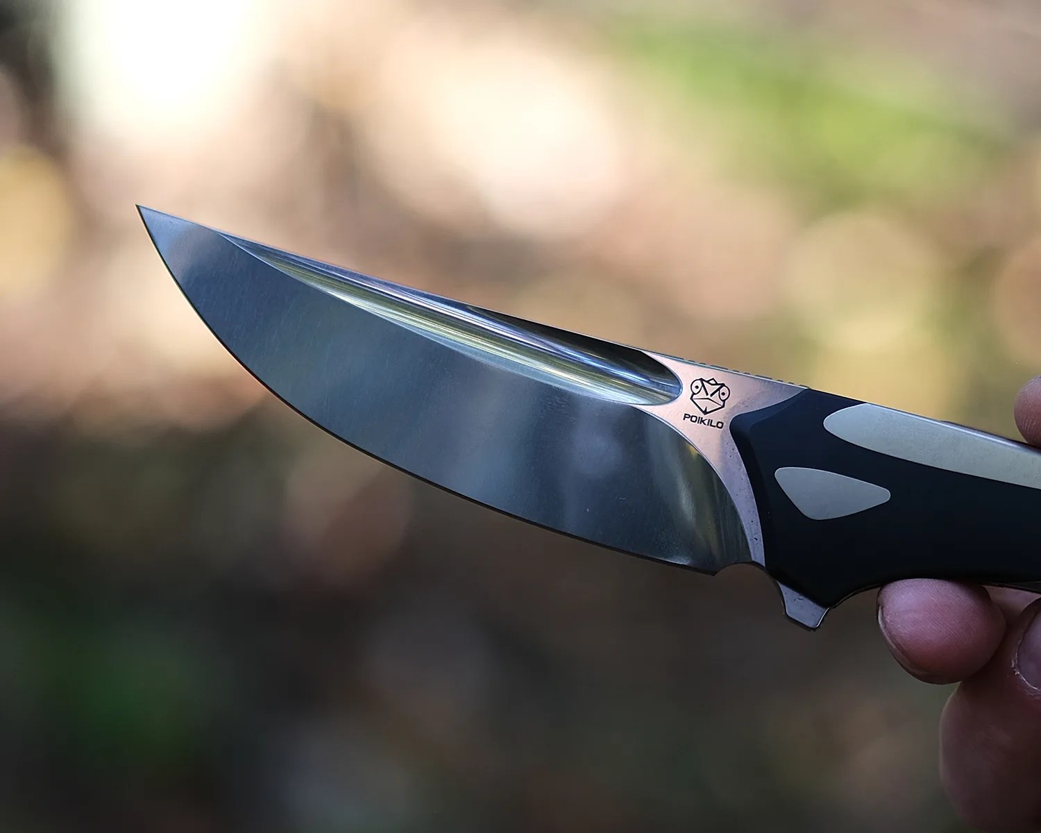 poikiloblade orca closeup