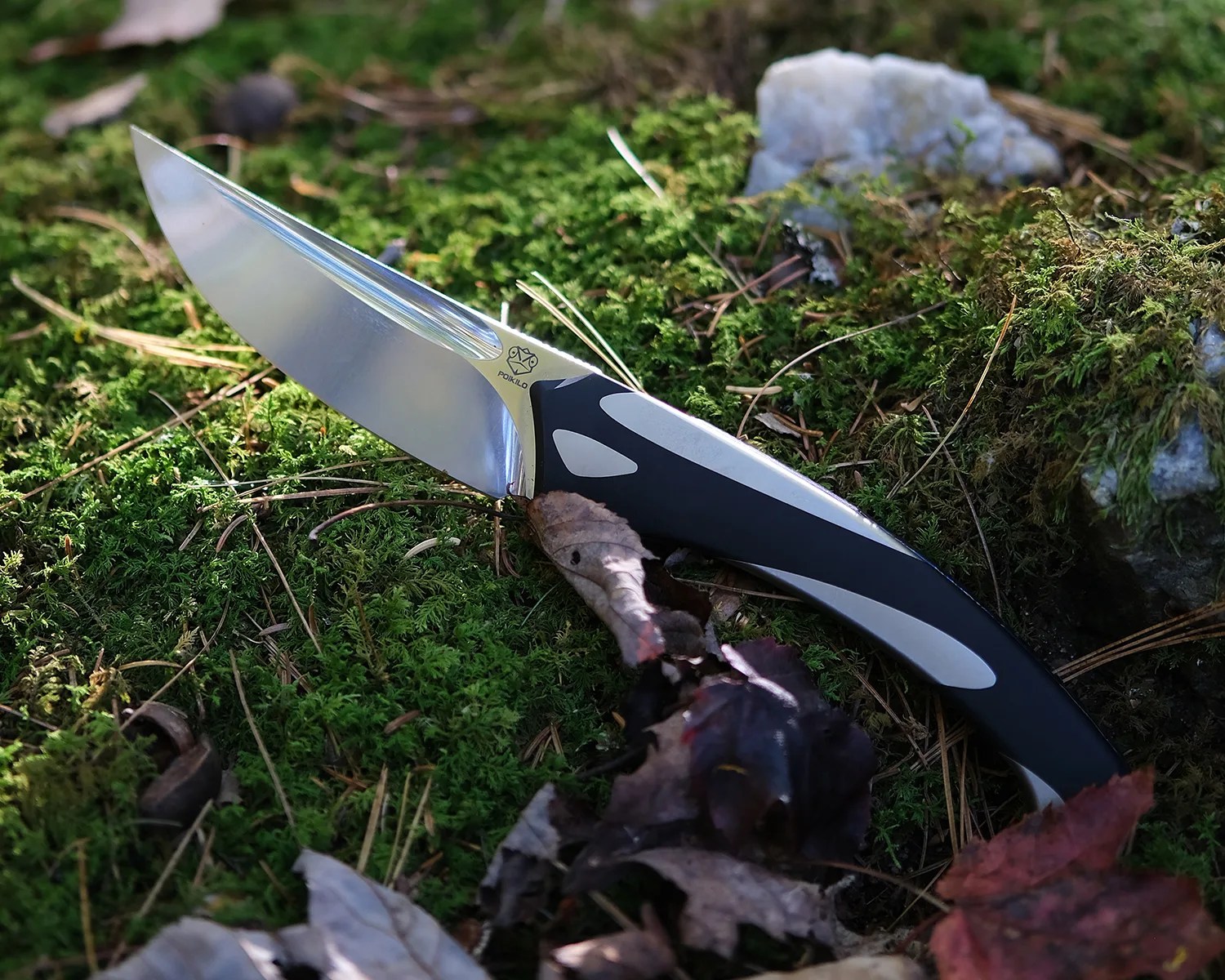 poikiloblade orca hero