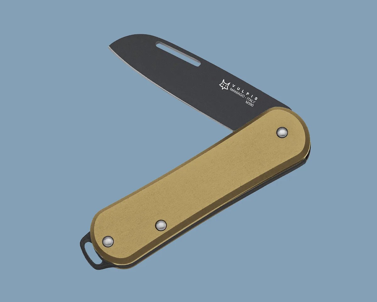 Fox Vulpis on blue background