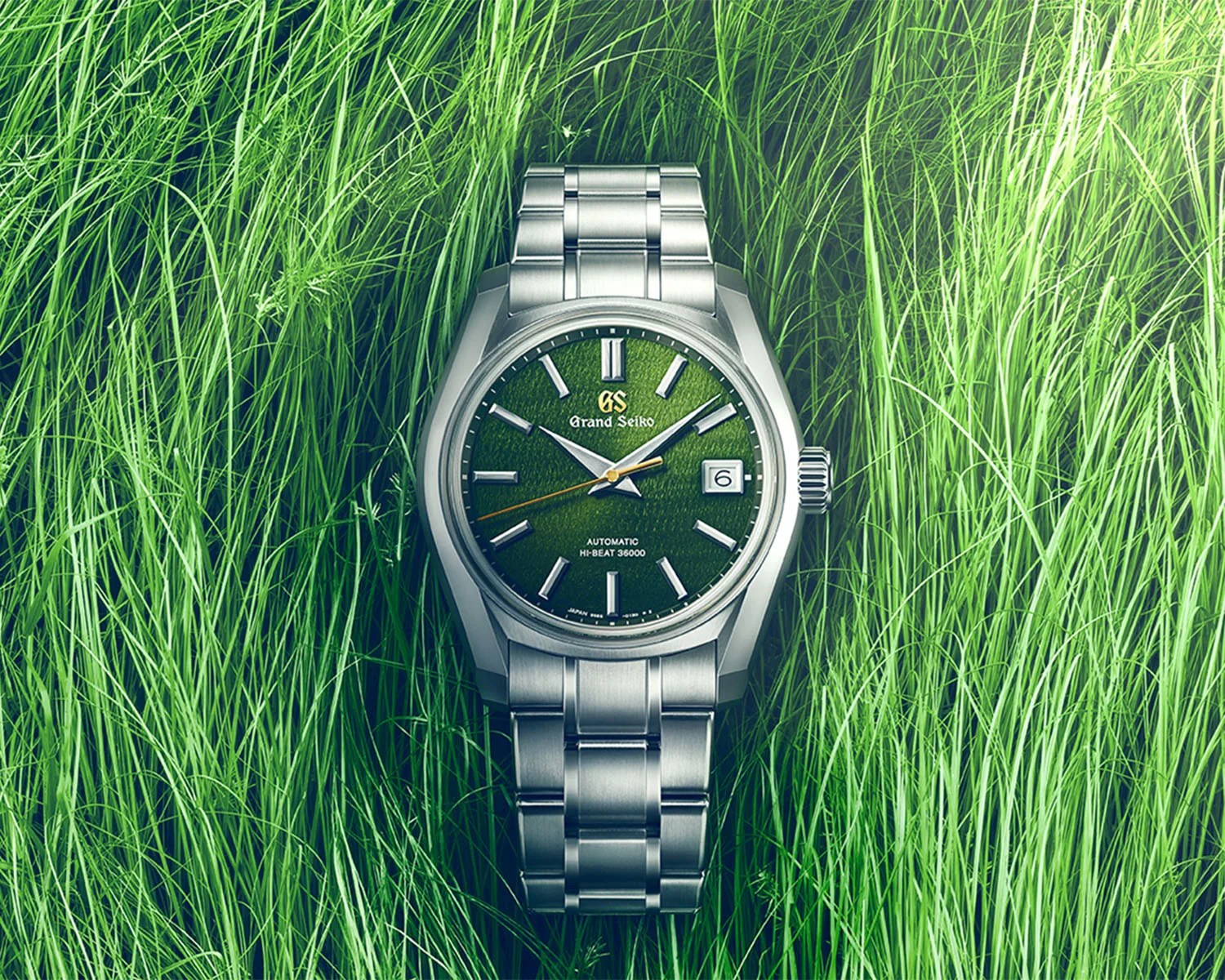 a watch laying in grass