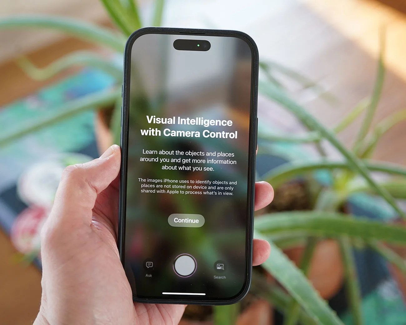 Visual Intelligence iOS 18.3 iPhone features