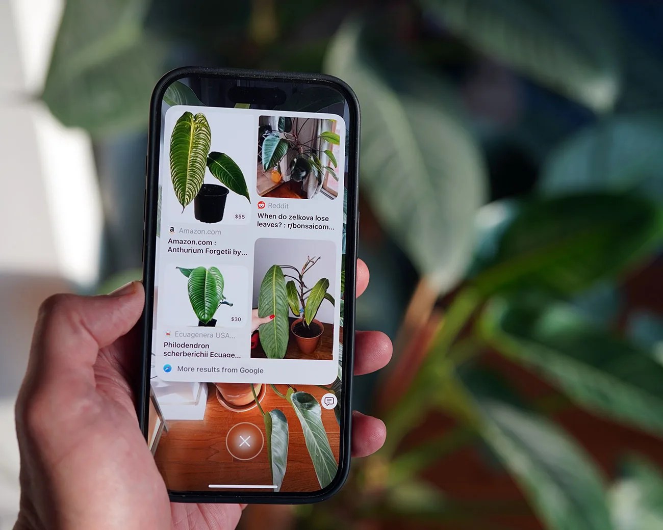 Visual Intelligence iOS 18.3 iPhone features
