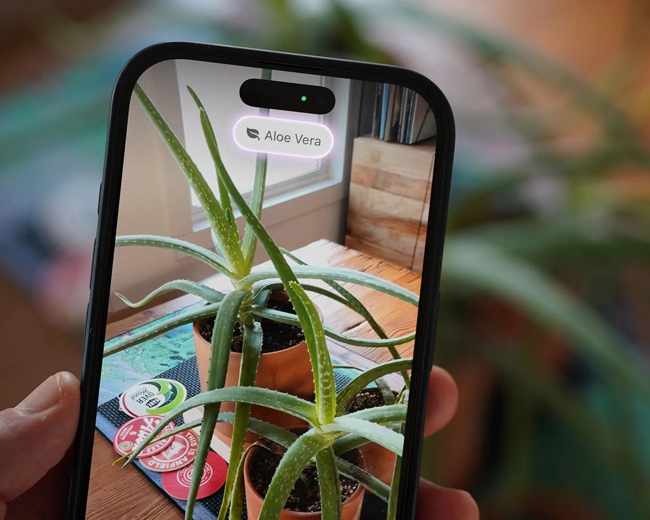 Visual Intelligence iOS 18.3 iPhone features