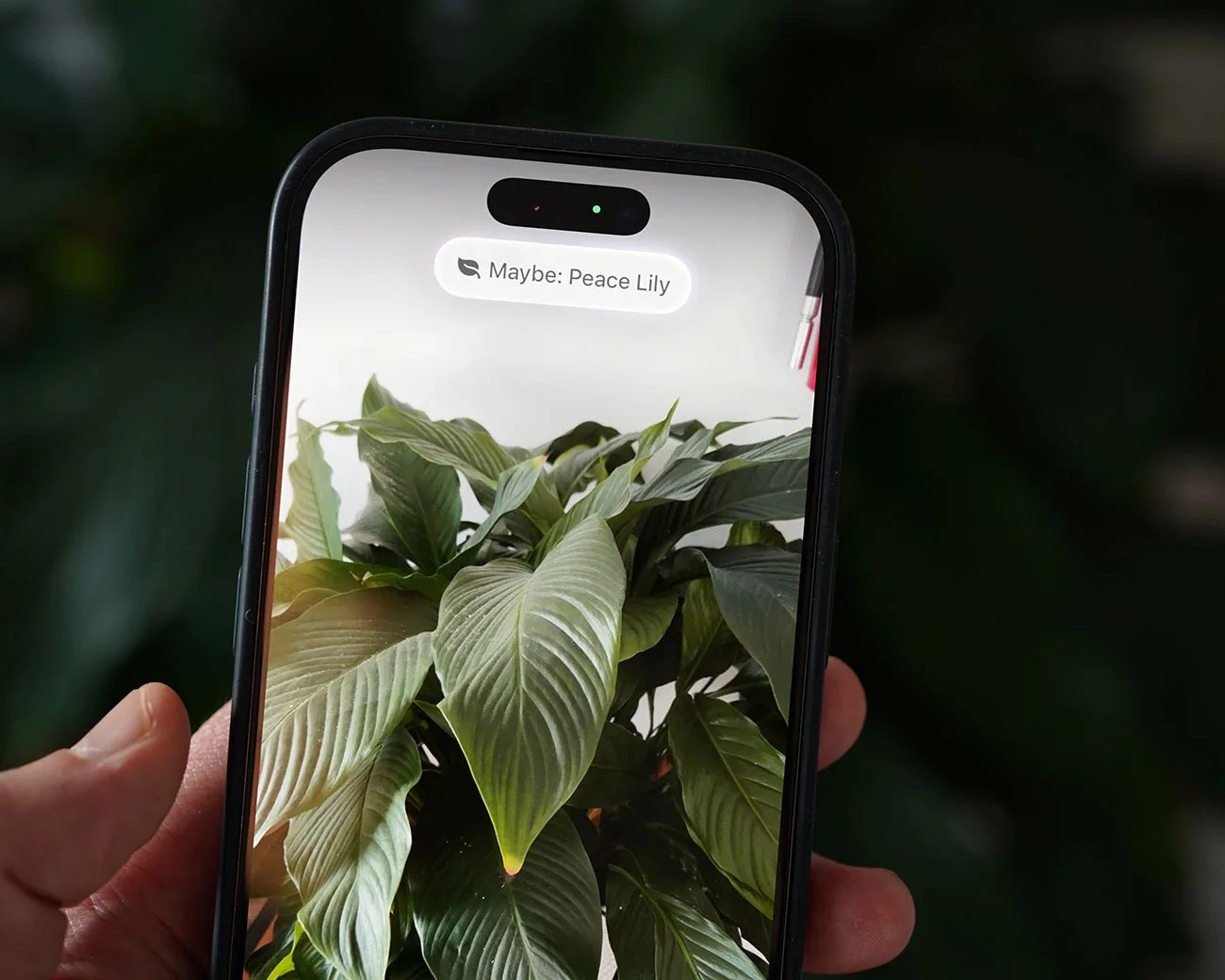 Visual Intelligence iOS 18.3 iPhone features
