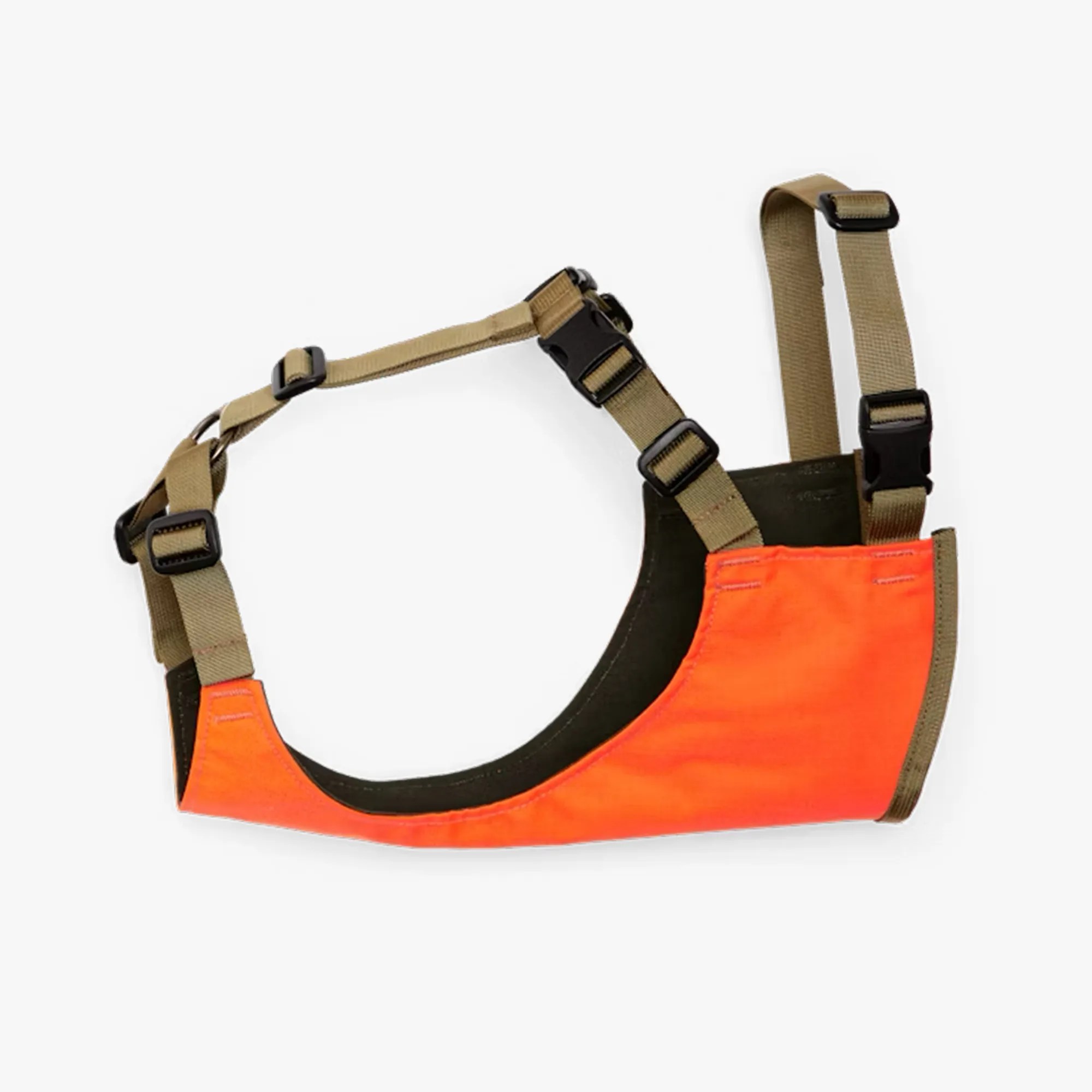 Outdoor Adventure Brands You Didn't Know Made Dog Gear