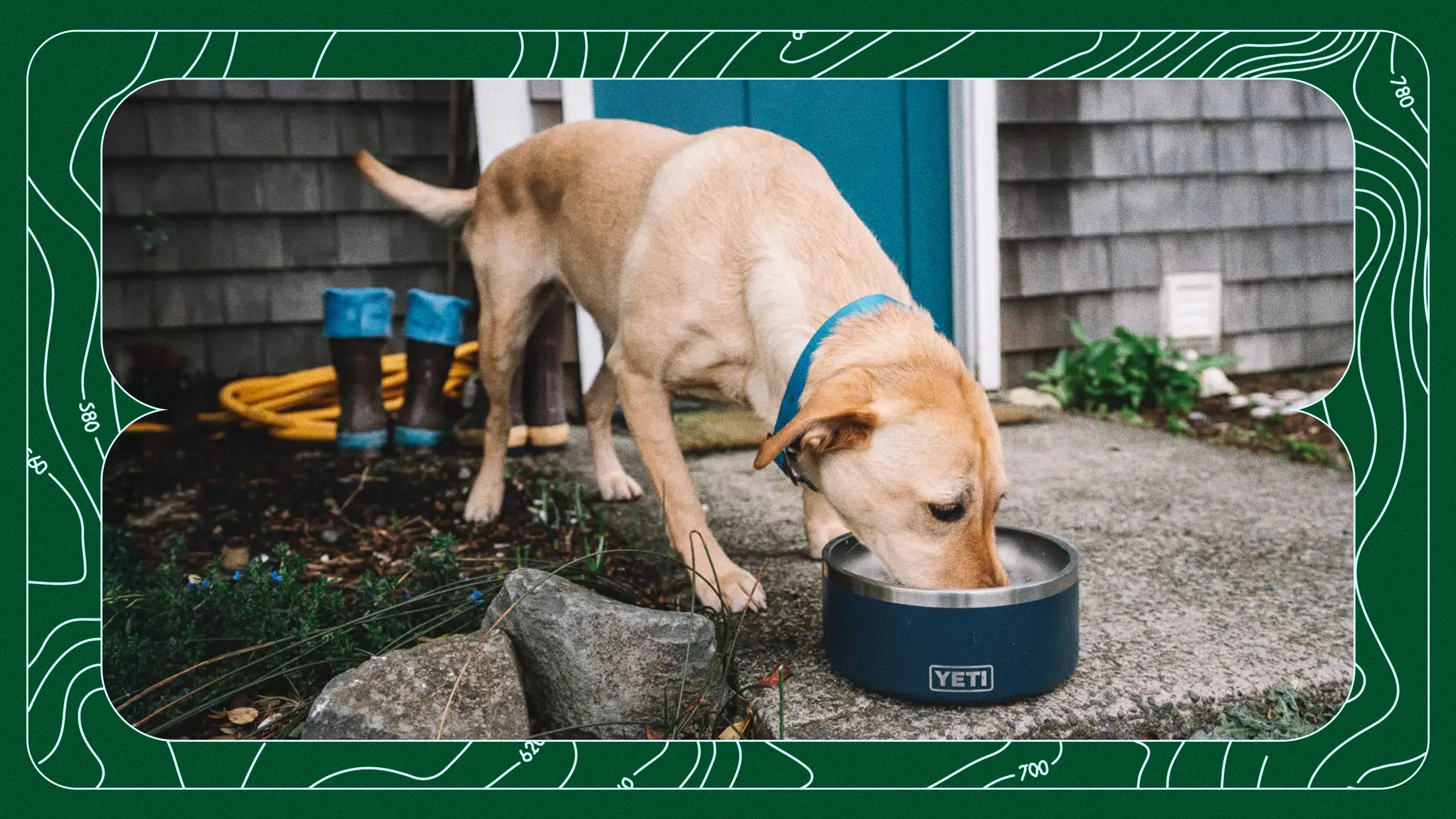 dog drinking from Yeti Boomer Dog Bowl