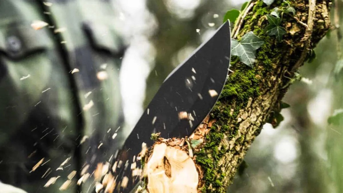 Closeup of Böker Plus Northwood Bowie chopping tree branch