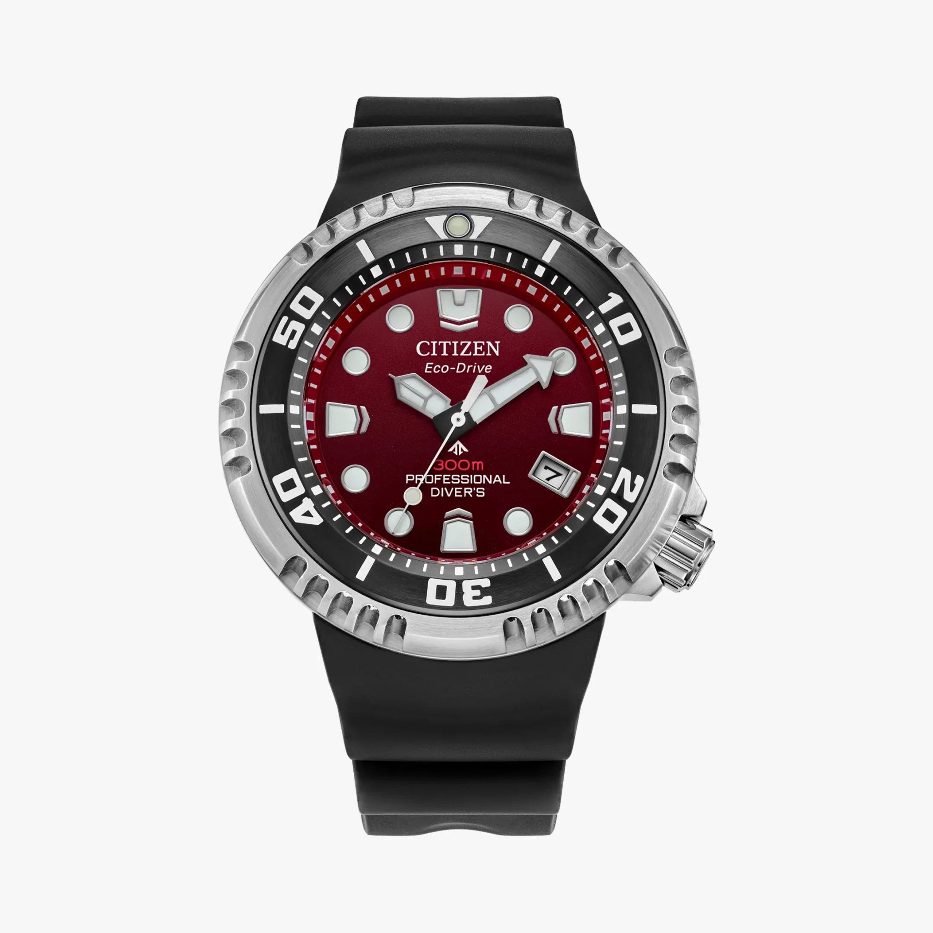 a citizen dive watch