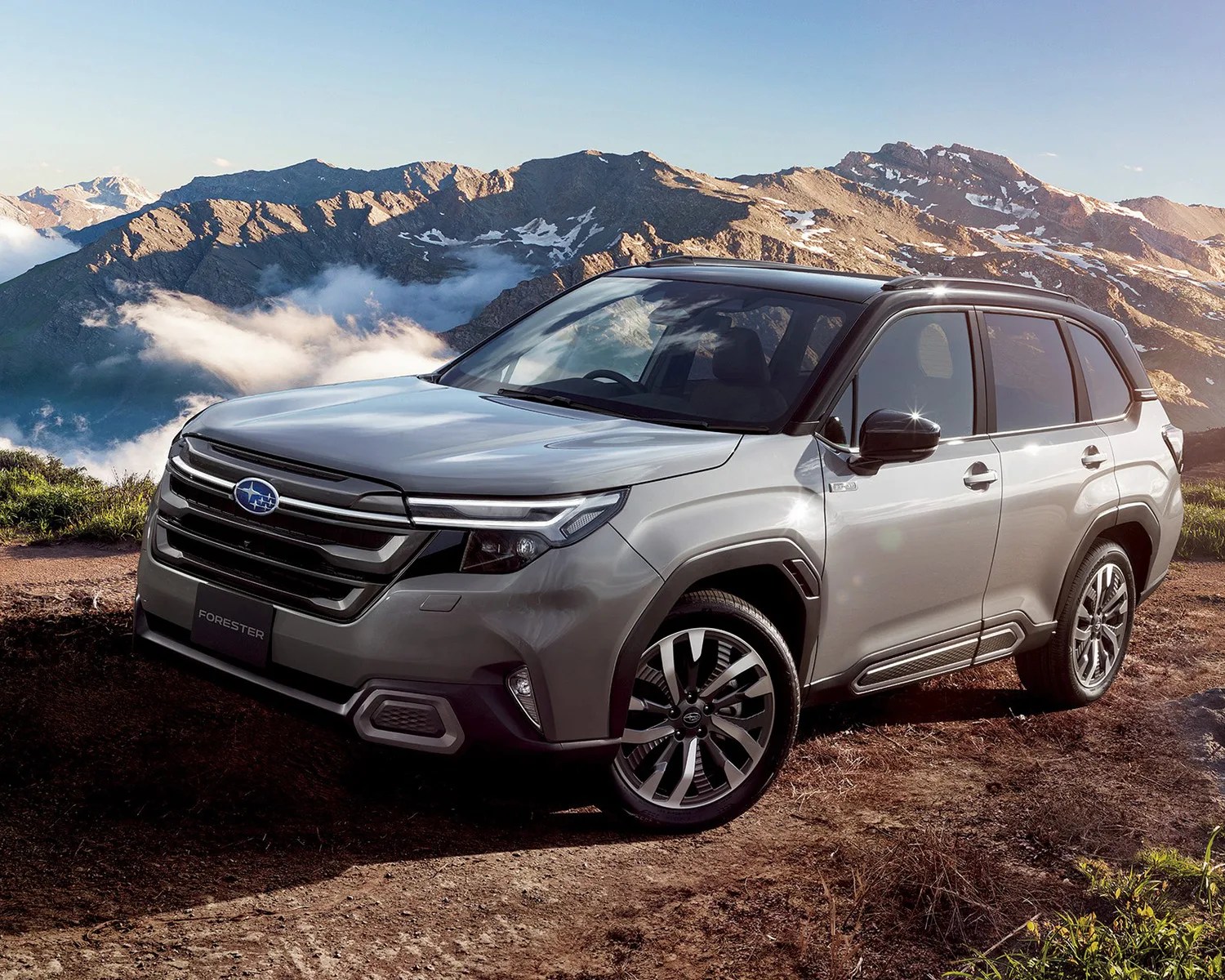 subaru forester beauty