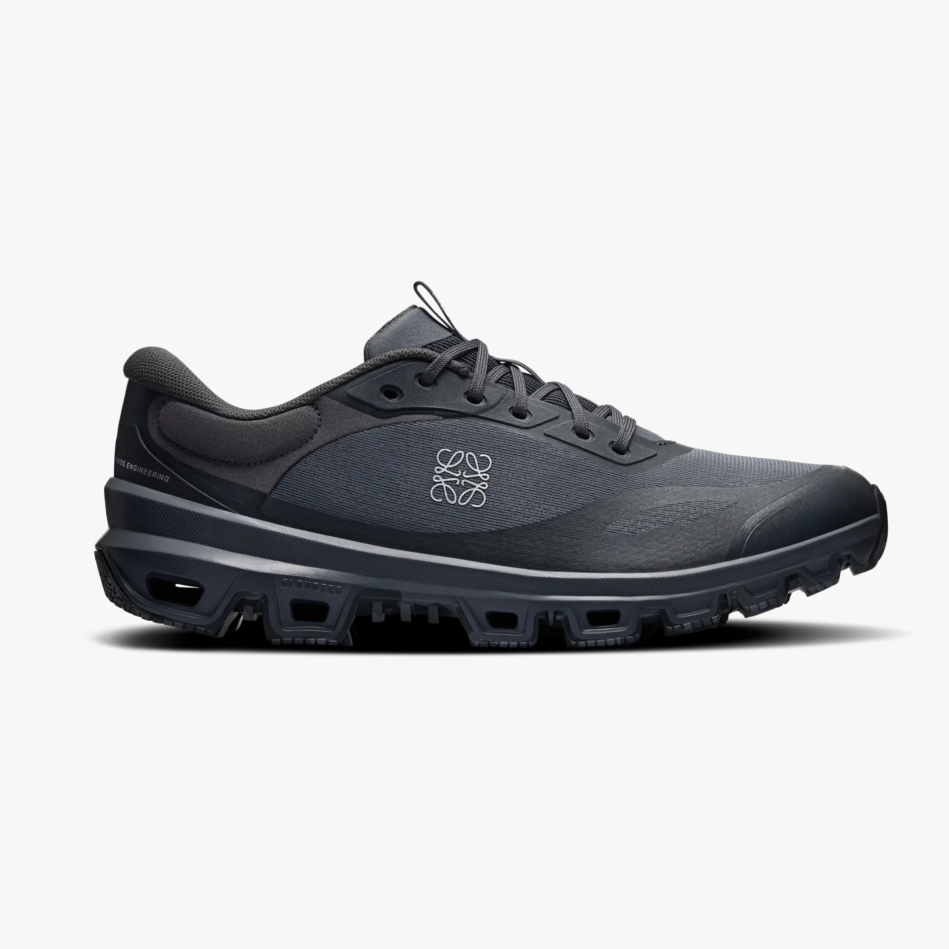 On Cloudventure Loewe 2