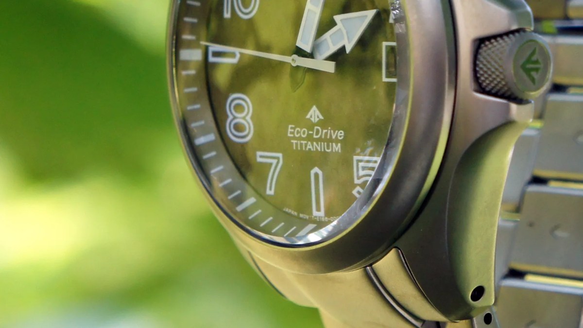 huckberry-citizen-promaster-