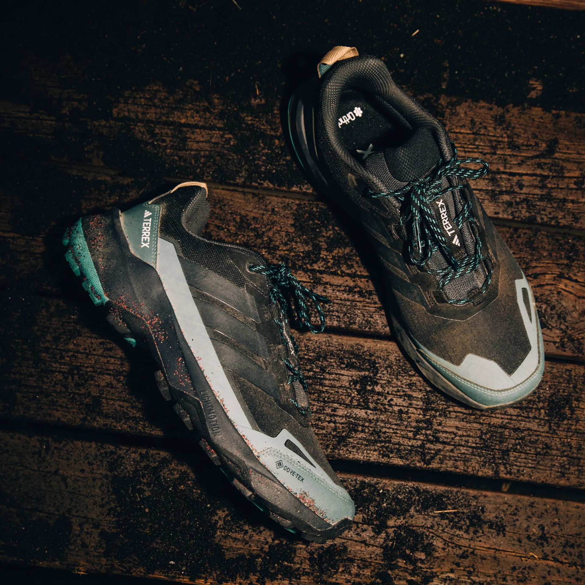 Adidas Skychaser AX5 Gore Tex Hiking Shoe on wood floor