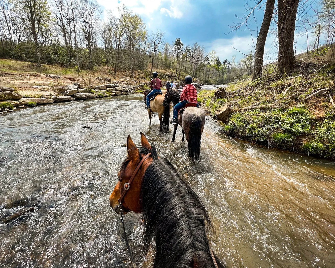 people riding horses through a shallow river